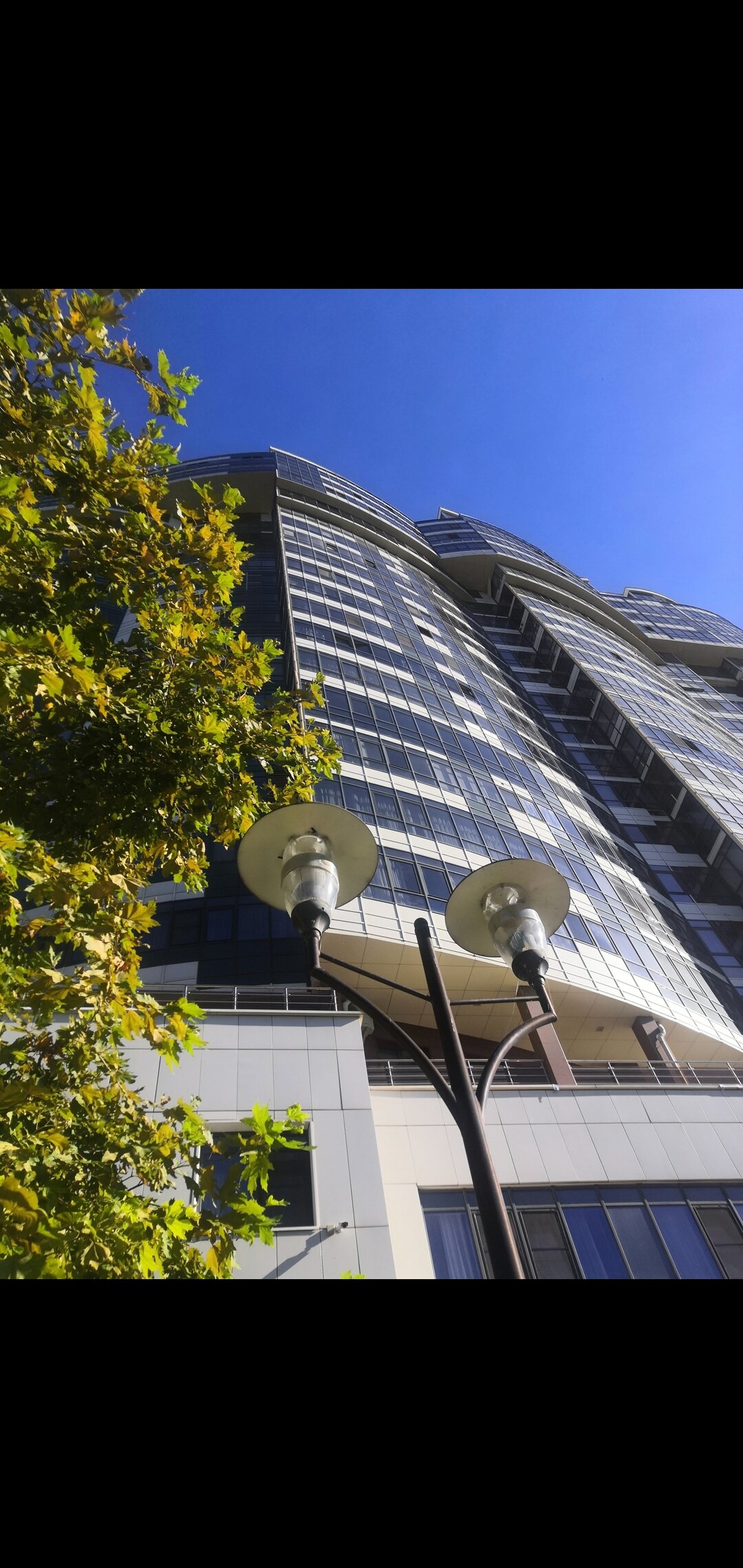 Фото Шагал по Красной площади