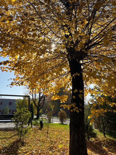 Гостиница Бумеранг во Владикавказе