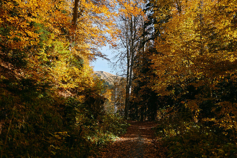 Панорама парк — фото 25