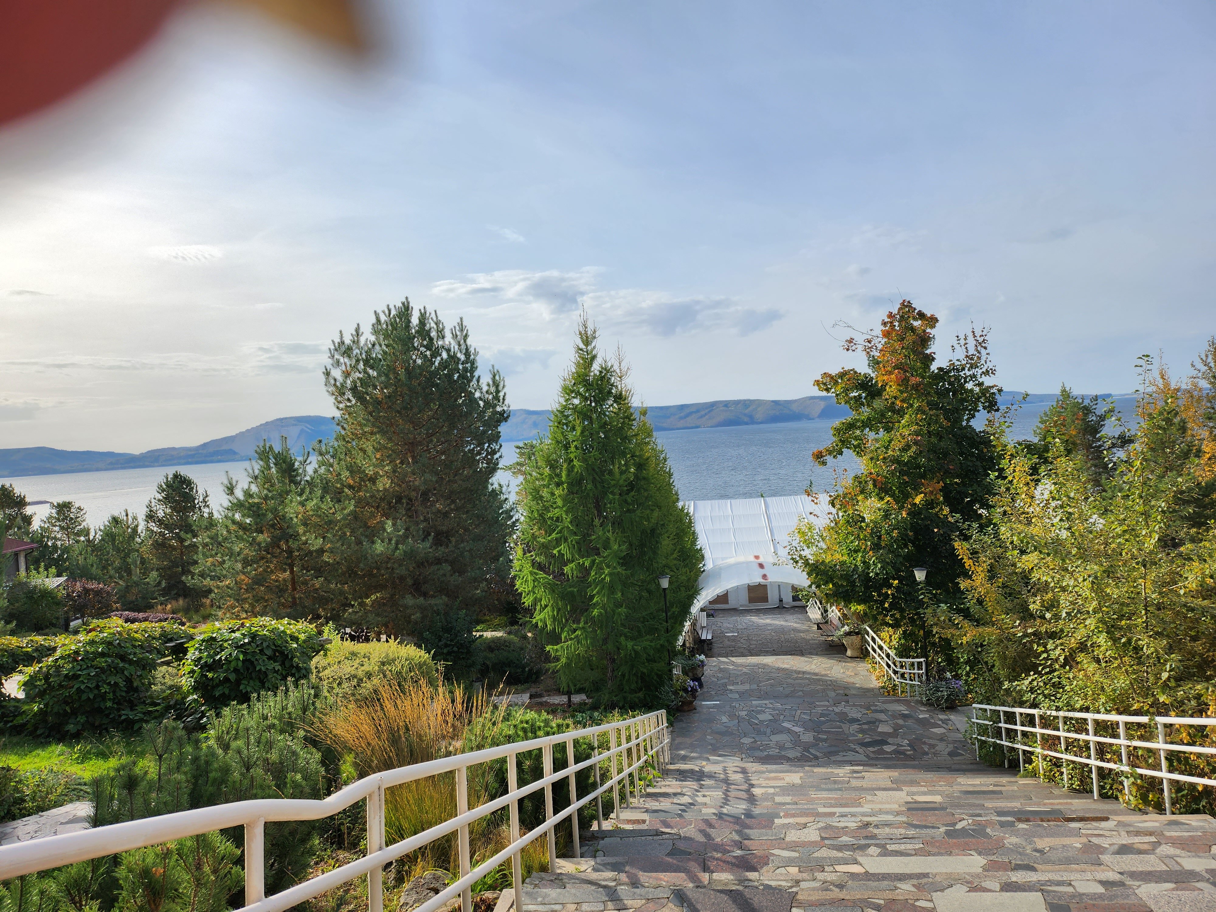 Фото Сосновый бор