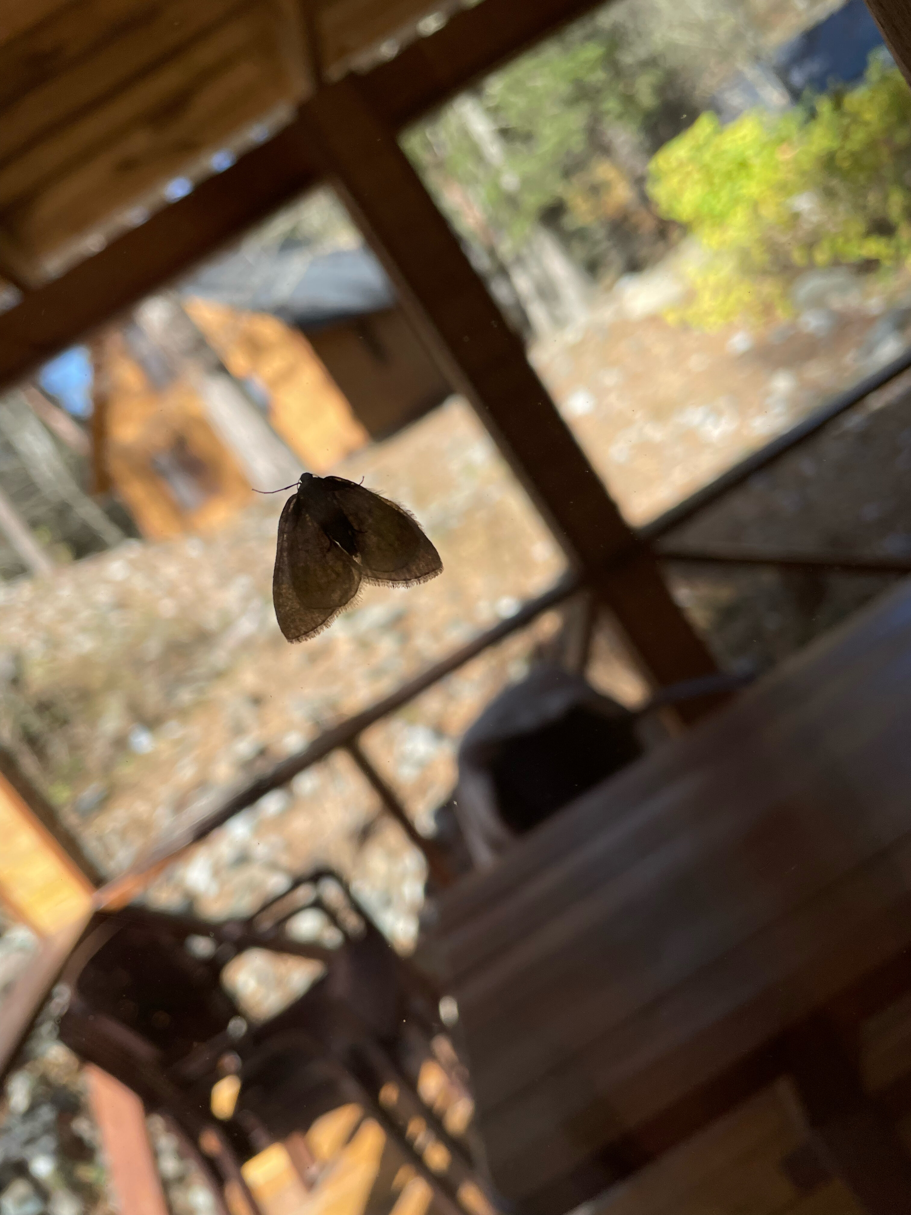 Фото Дача МиСо Теберда