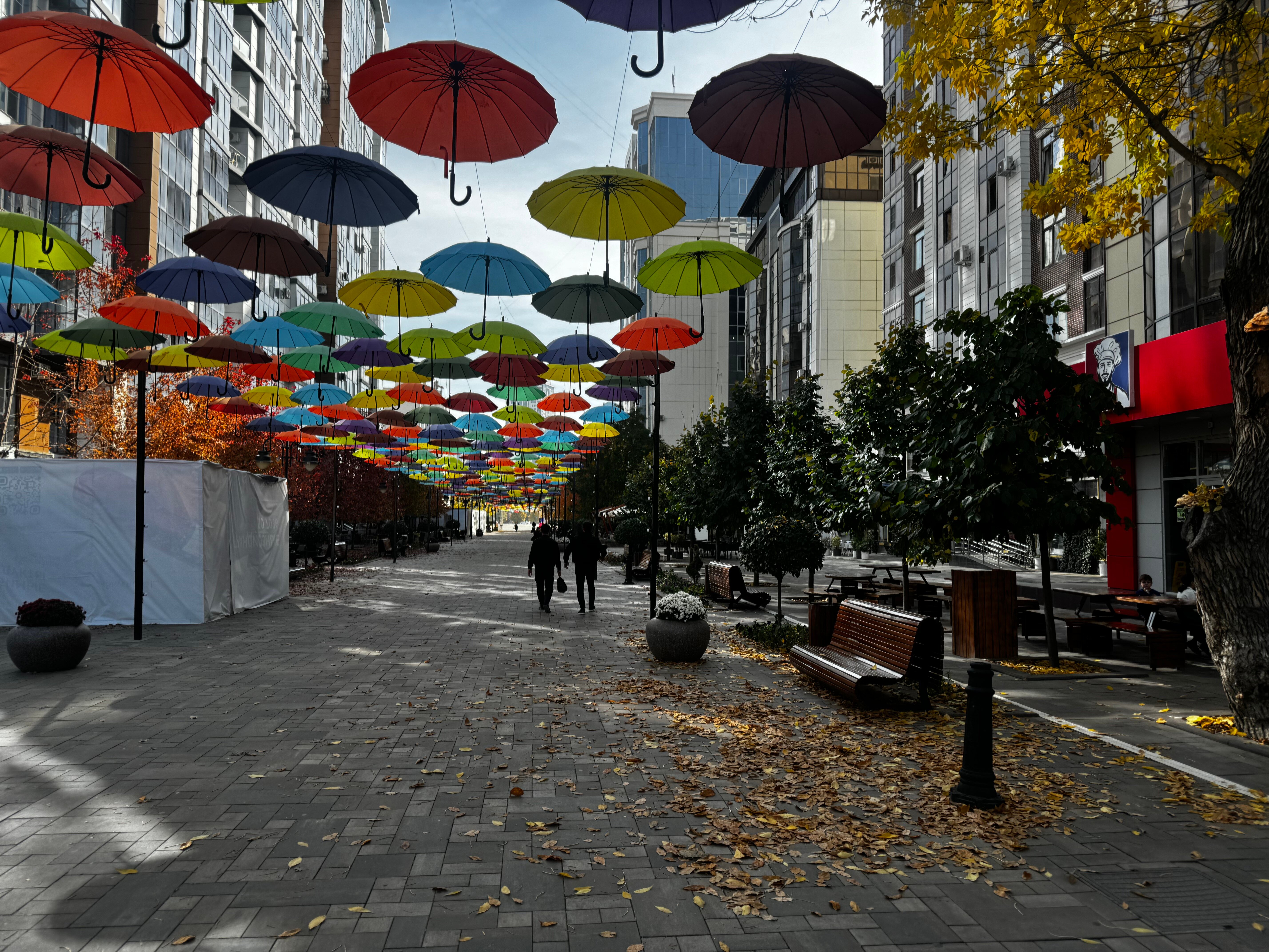 Фото Sintem Premium