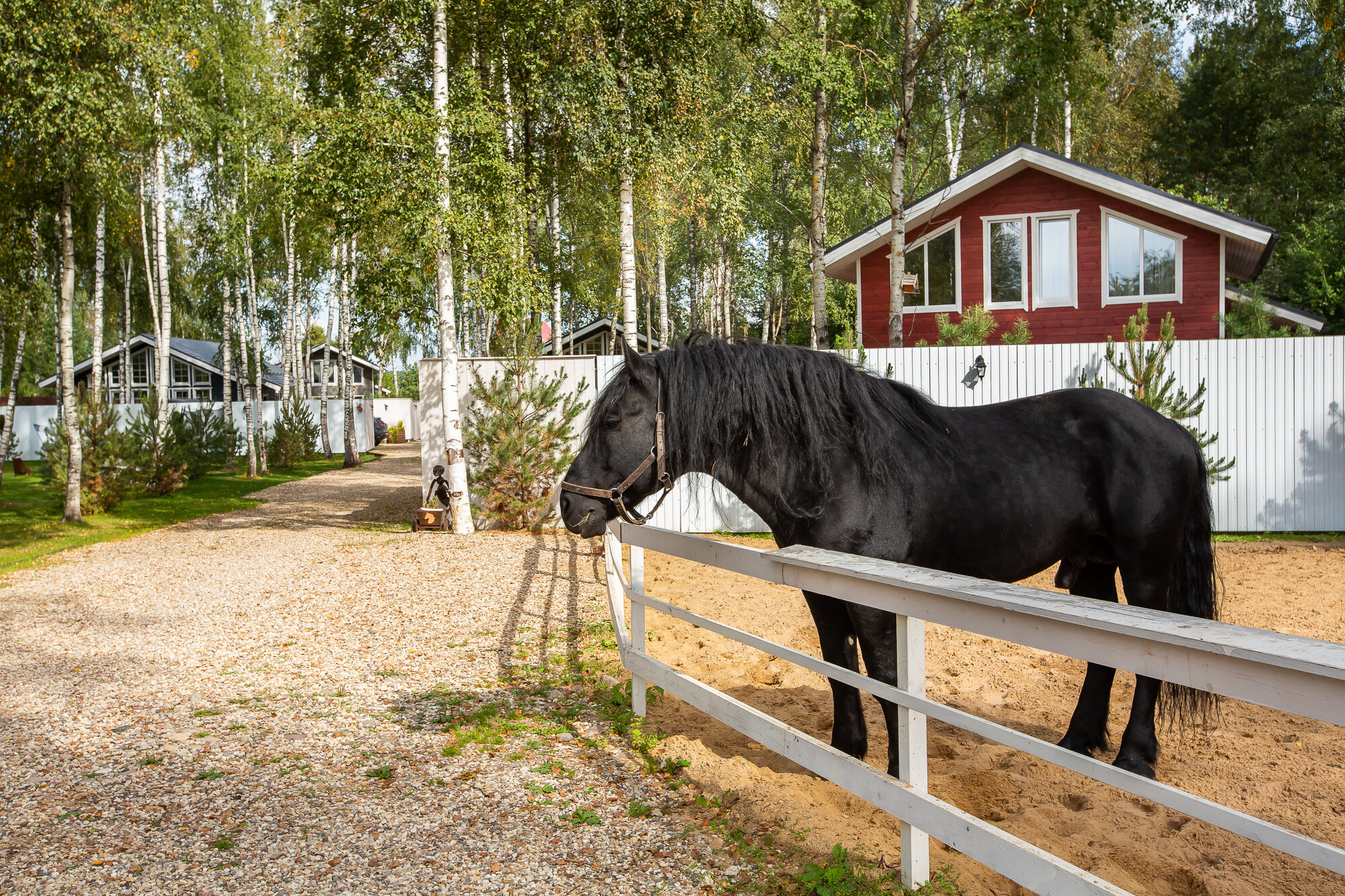 Фото Сканди хаус
