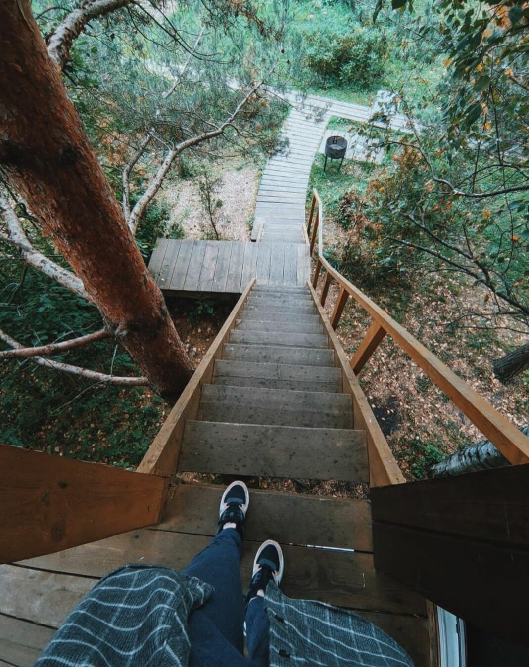 Фото Дом на дереве