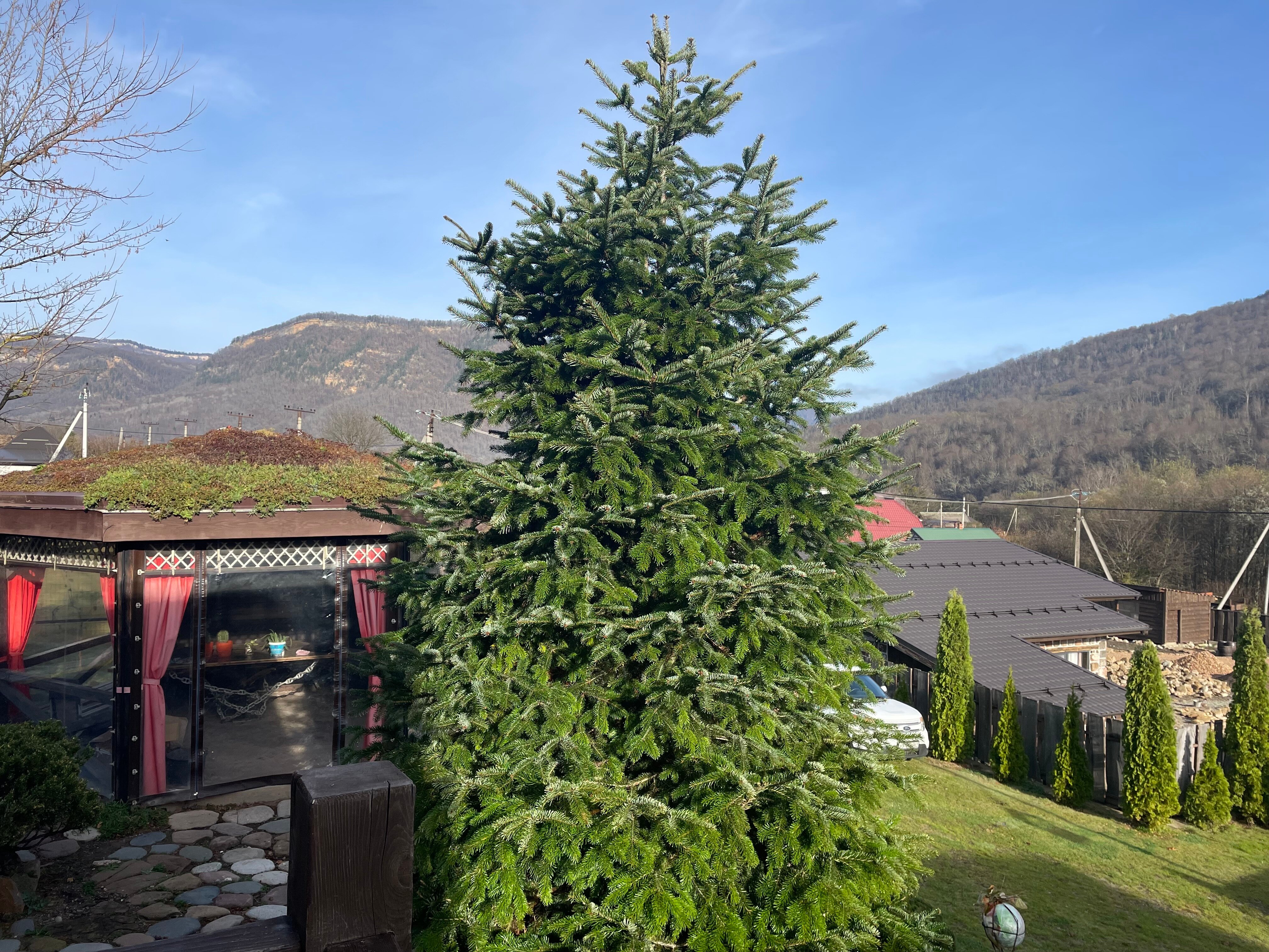 Фото Горное Шале