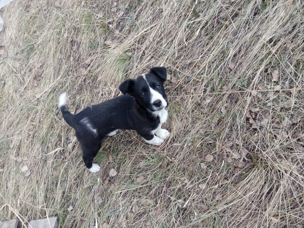 Фото Теремок в горах