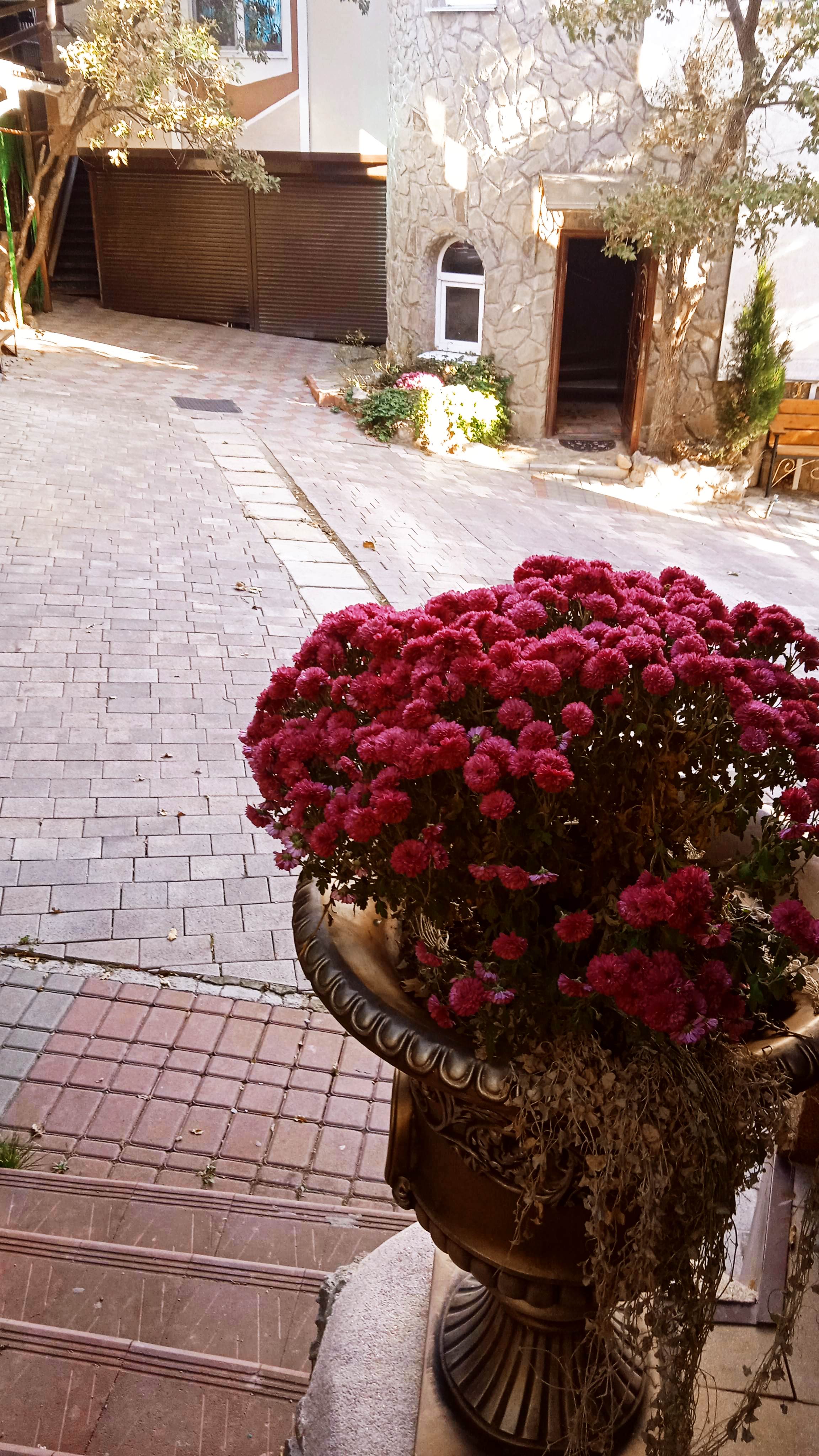 Фото Отдых в Кацивели