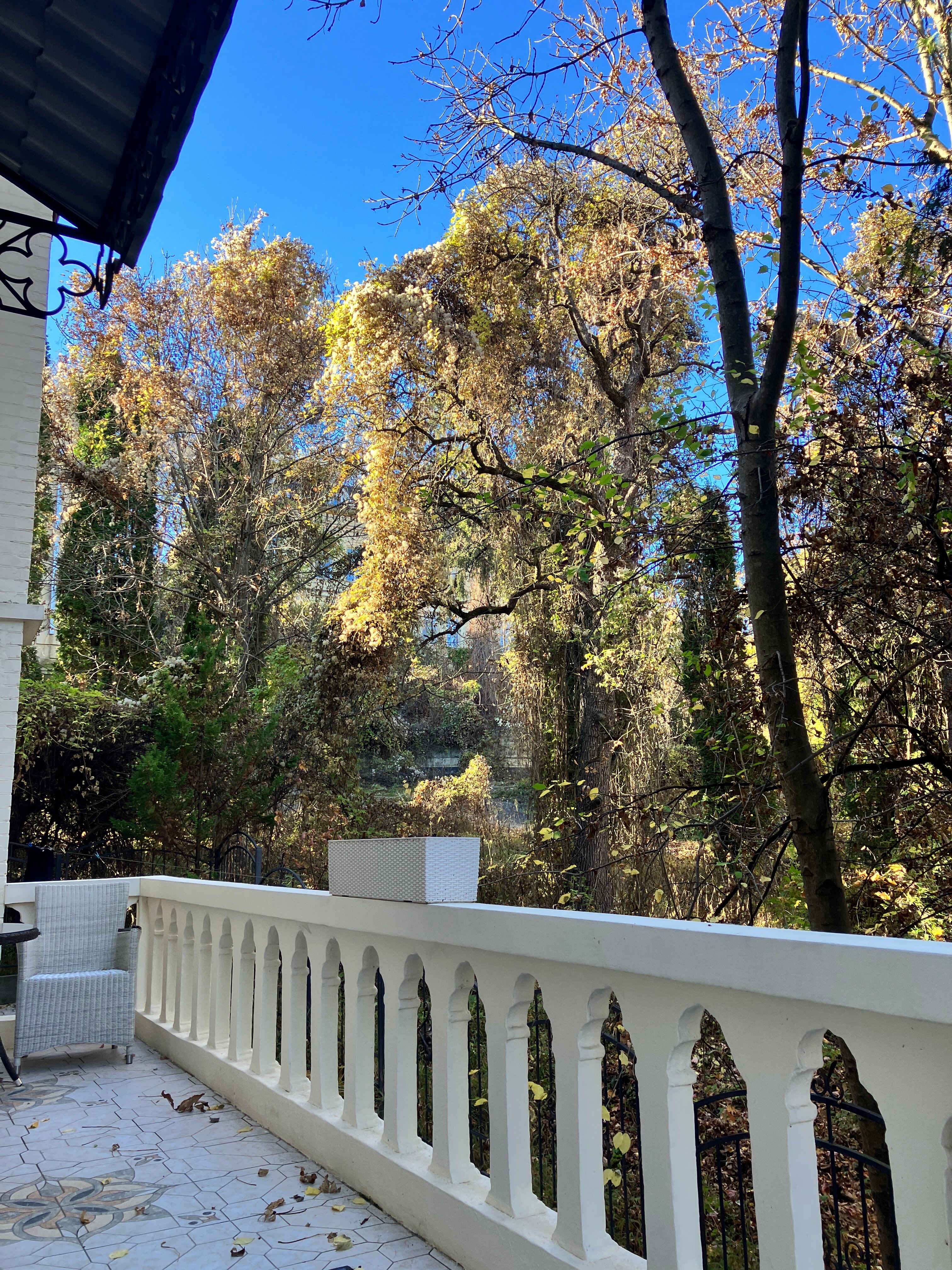 Фото ГерМания