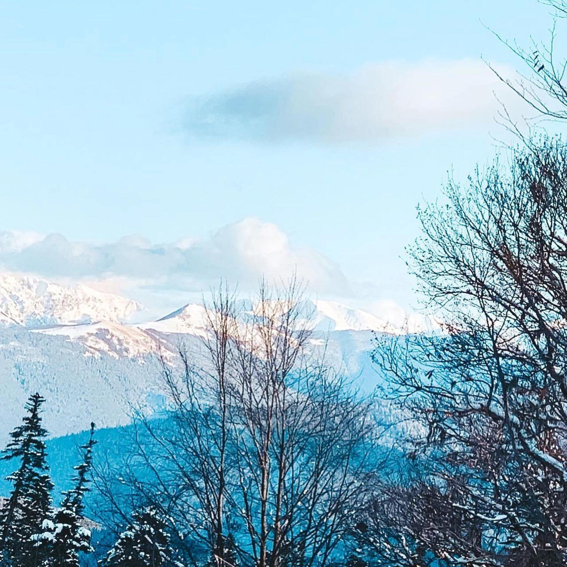 Фото Volkov Family