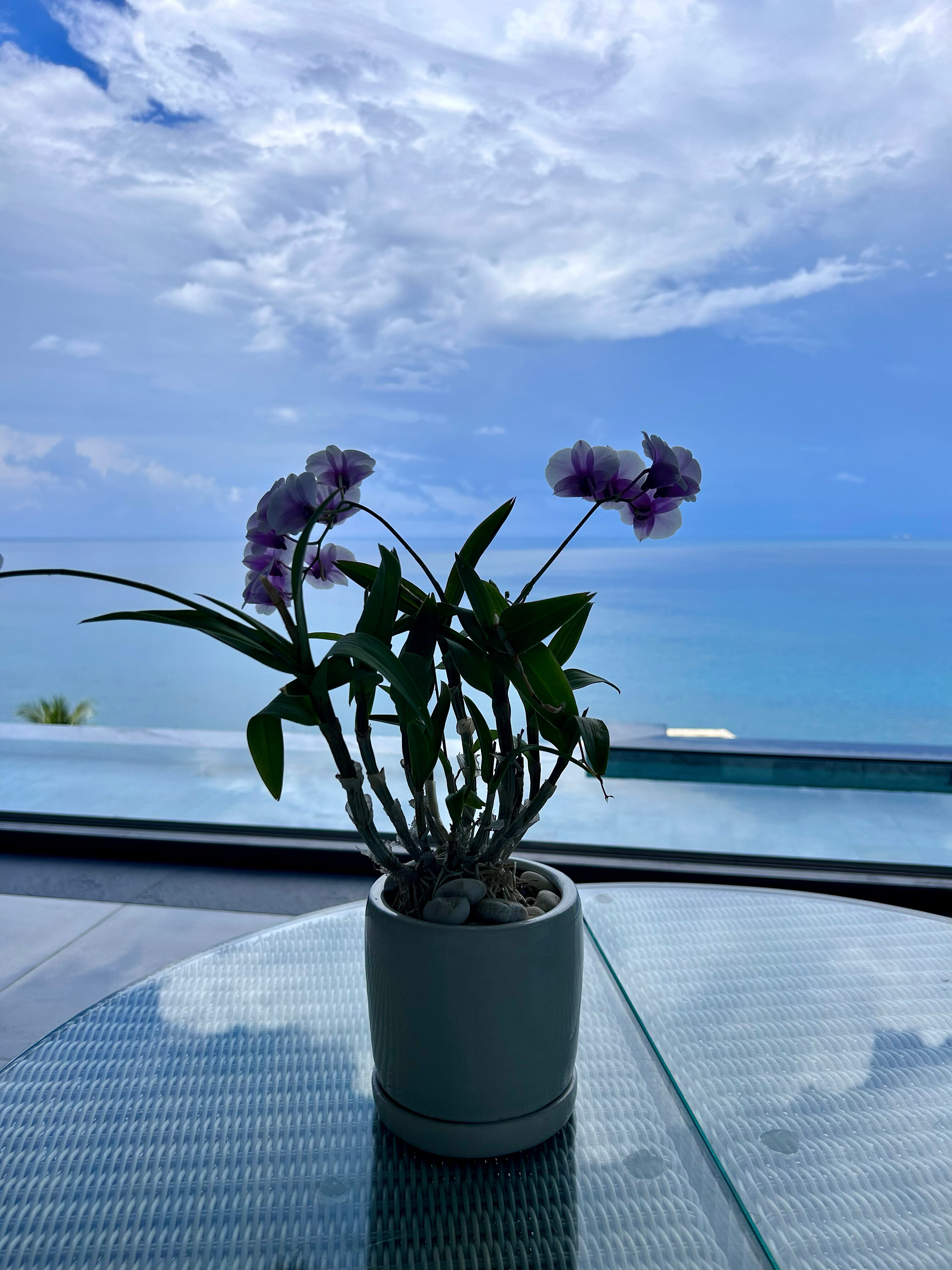 Фото Cape Sienna Gourmet Hotel & Villas