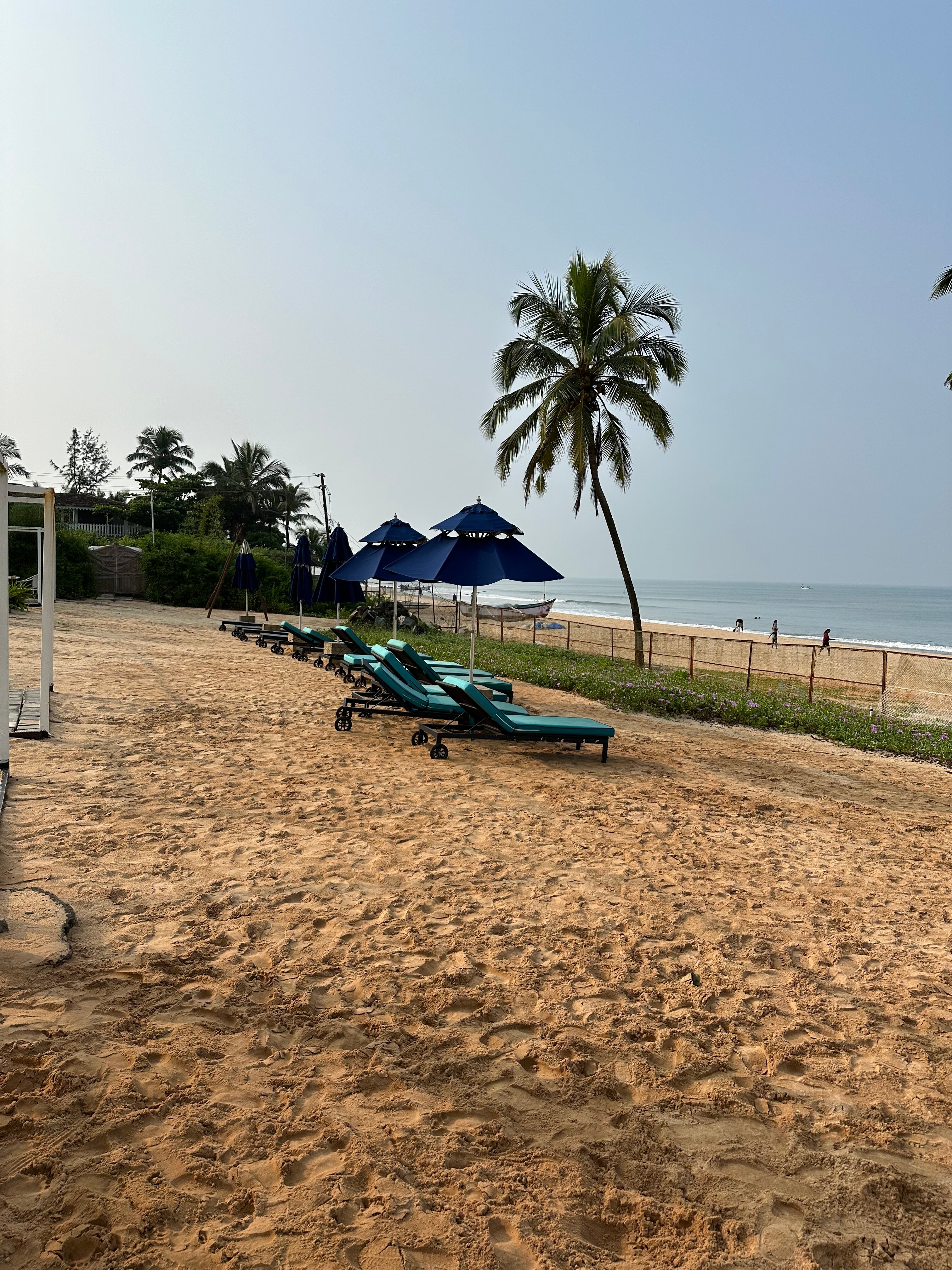 Фото Azaya Beach Resort Goa