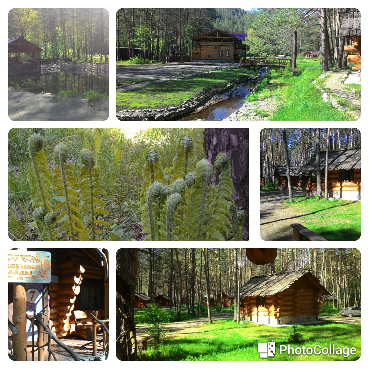 Фото Деревня Берендеевка