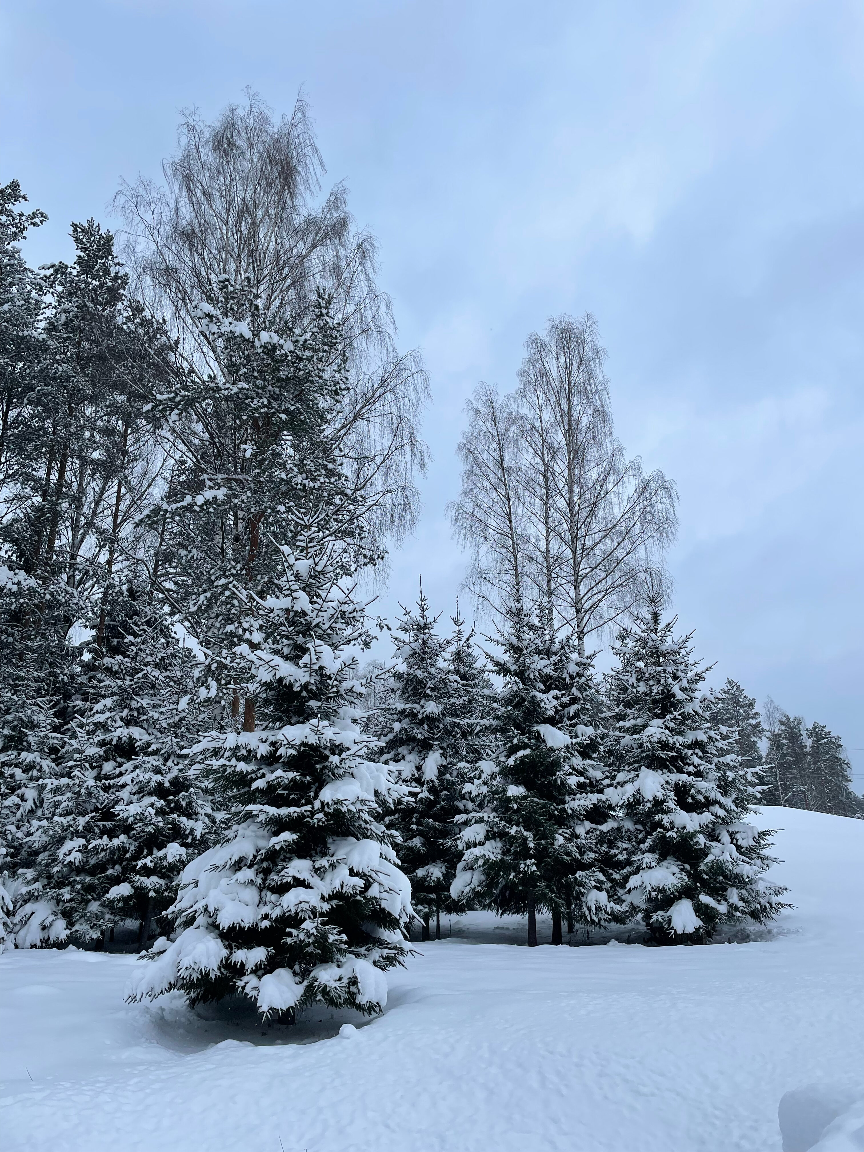 Фото ГлинтВуд