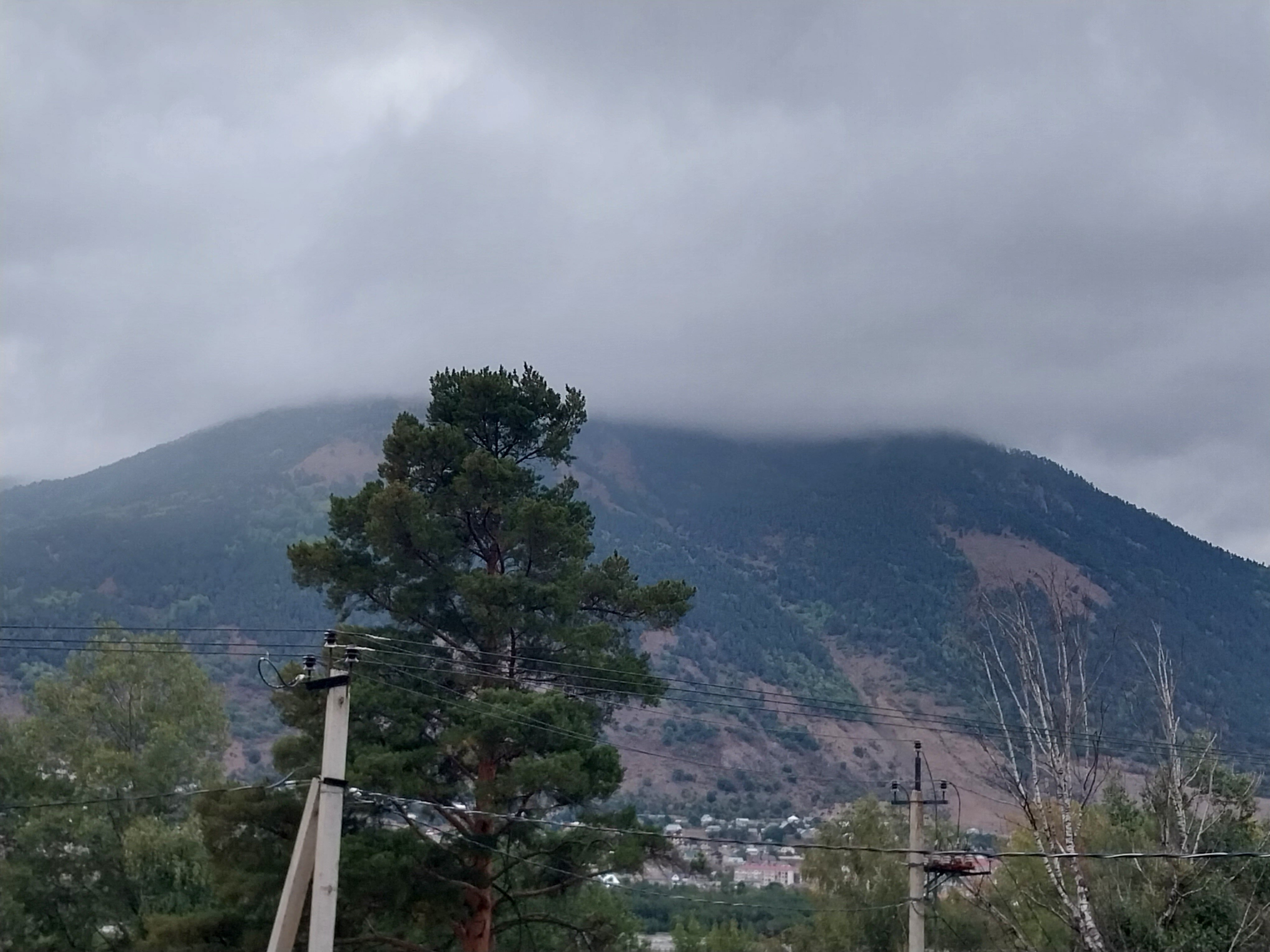 Фото Тебердом