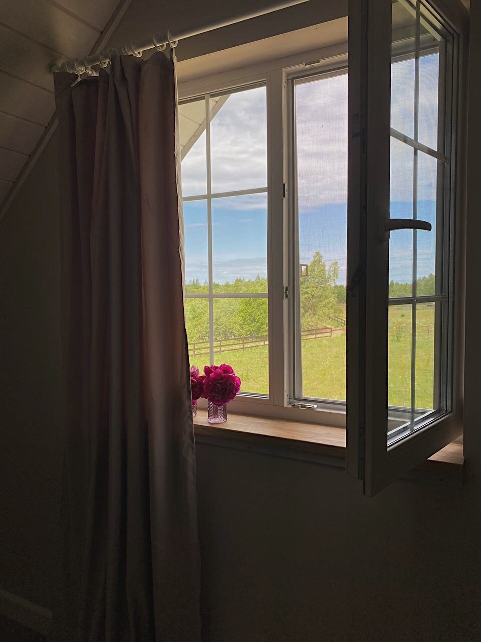 Фото Лес и луга