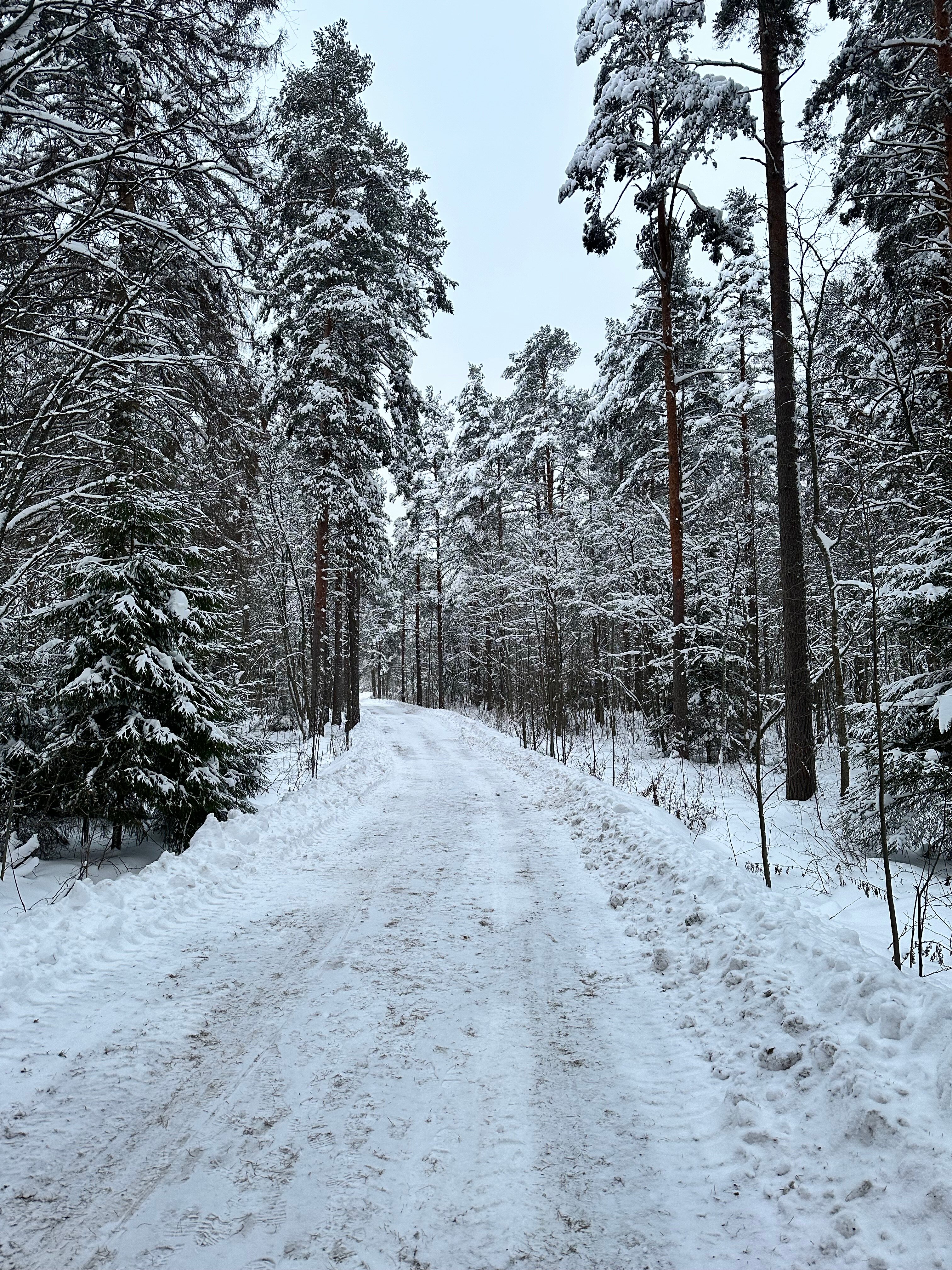 Фото Липпола