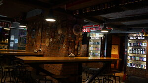 Pub 119 (Petrozavodsk, Lenina Avenue, 26) ، حانة، بار
