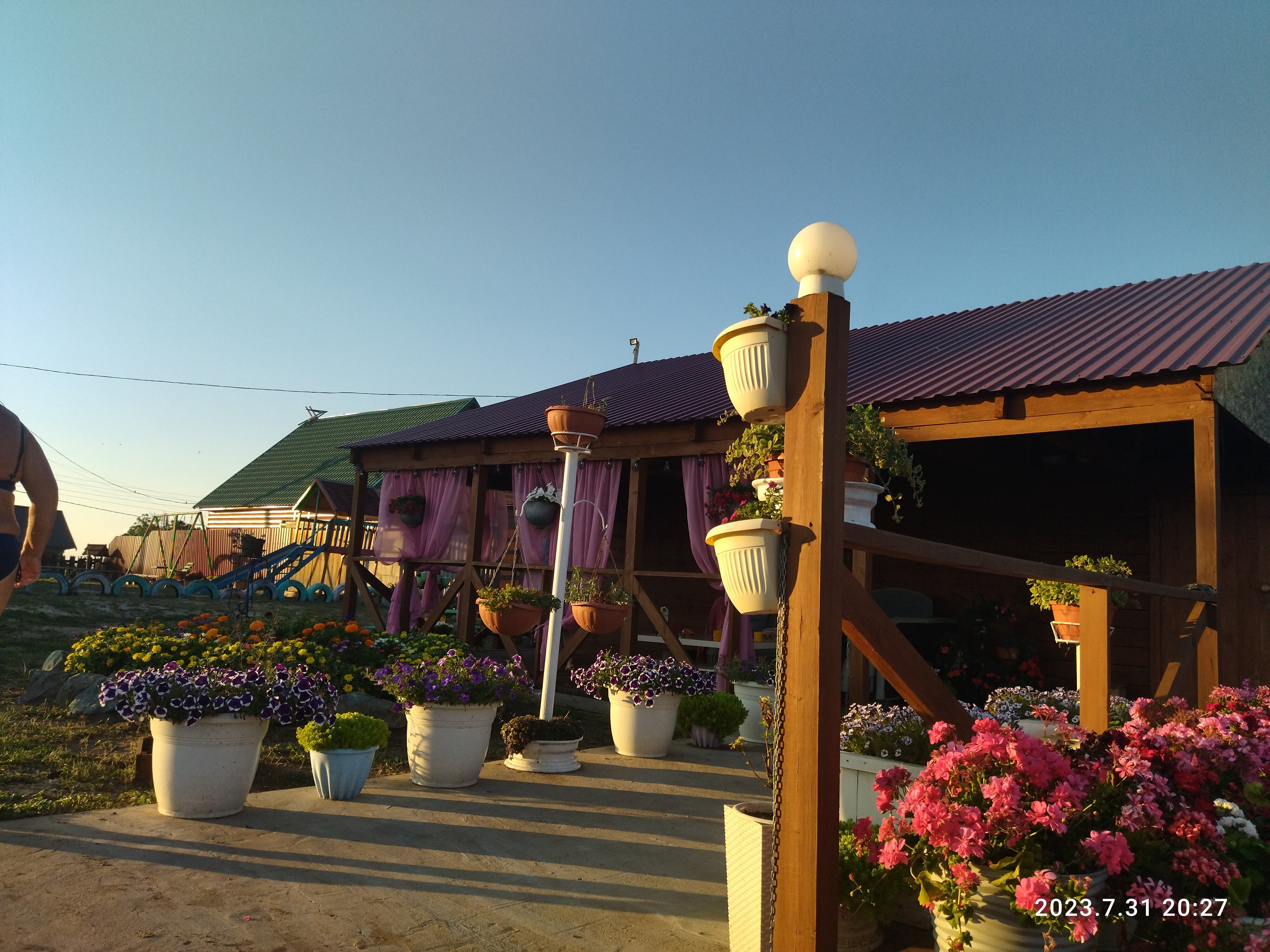 Фото Фламинго