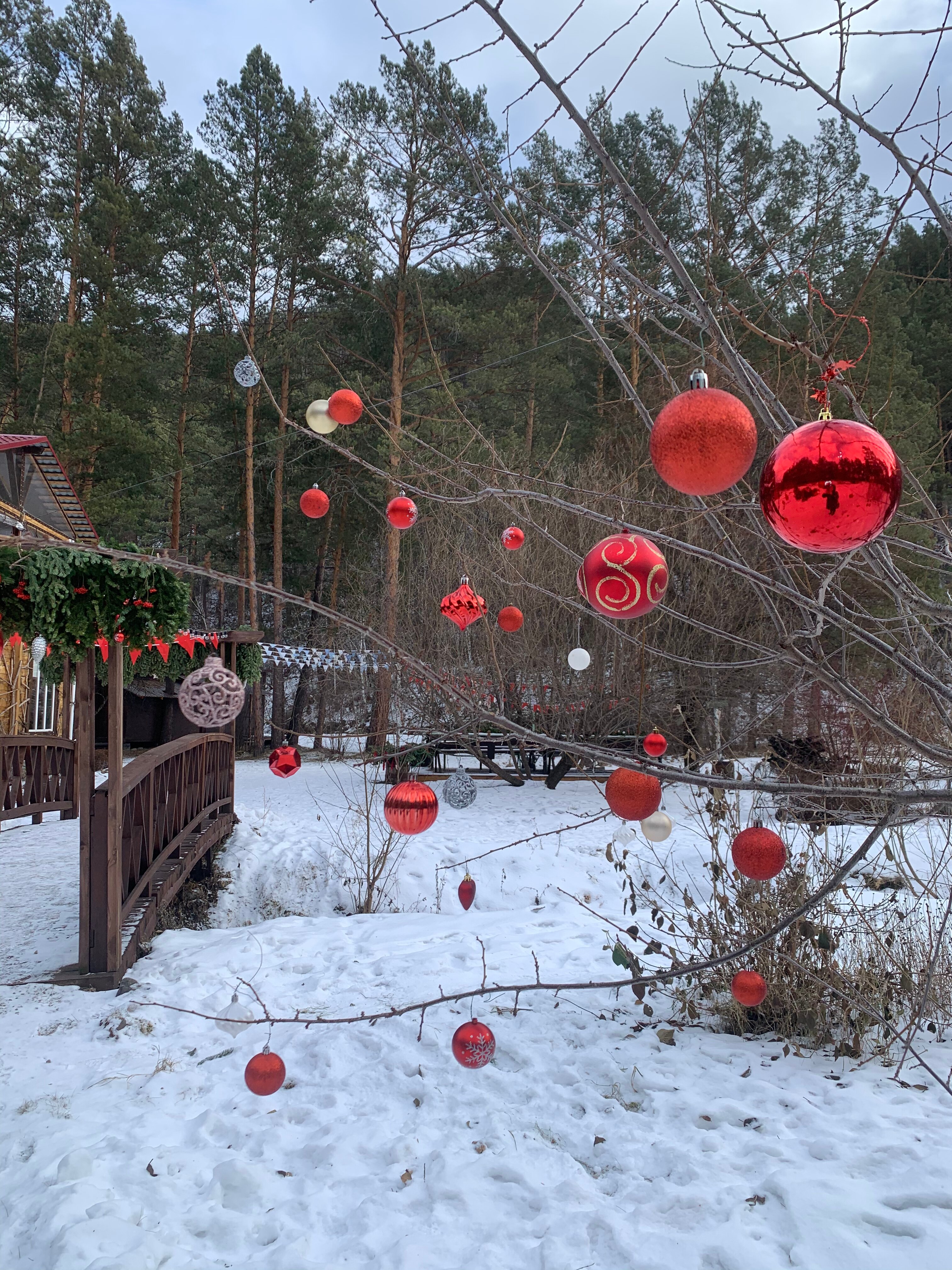 Фото Деревня Берендеевка