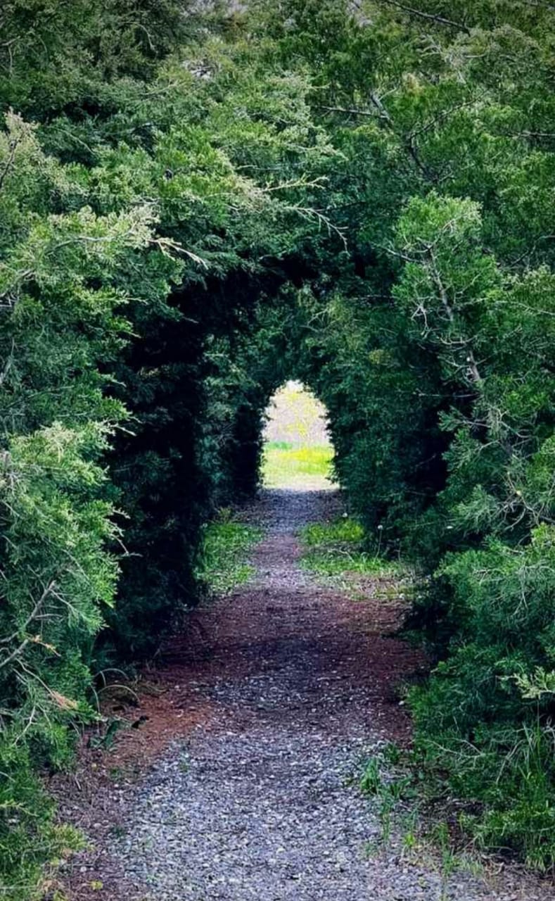 Фото Рыбалкино