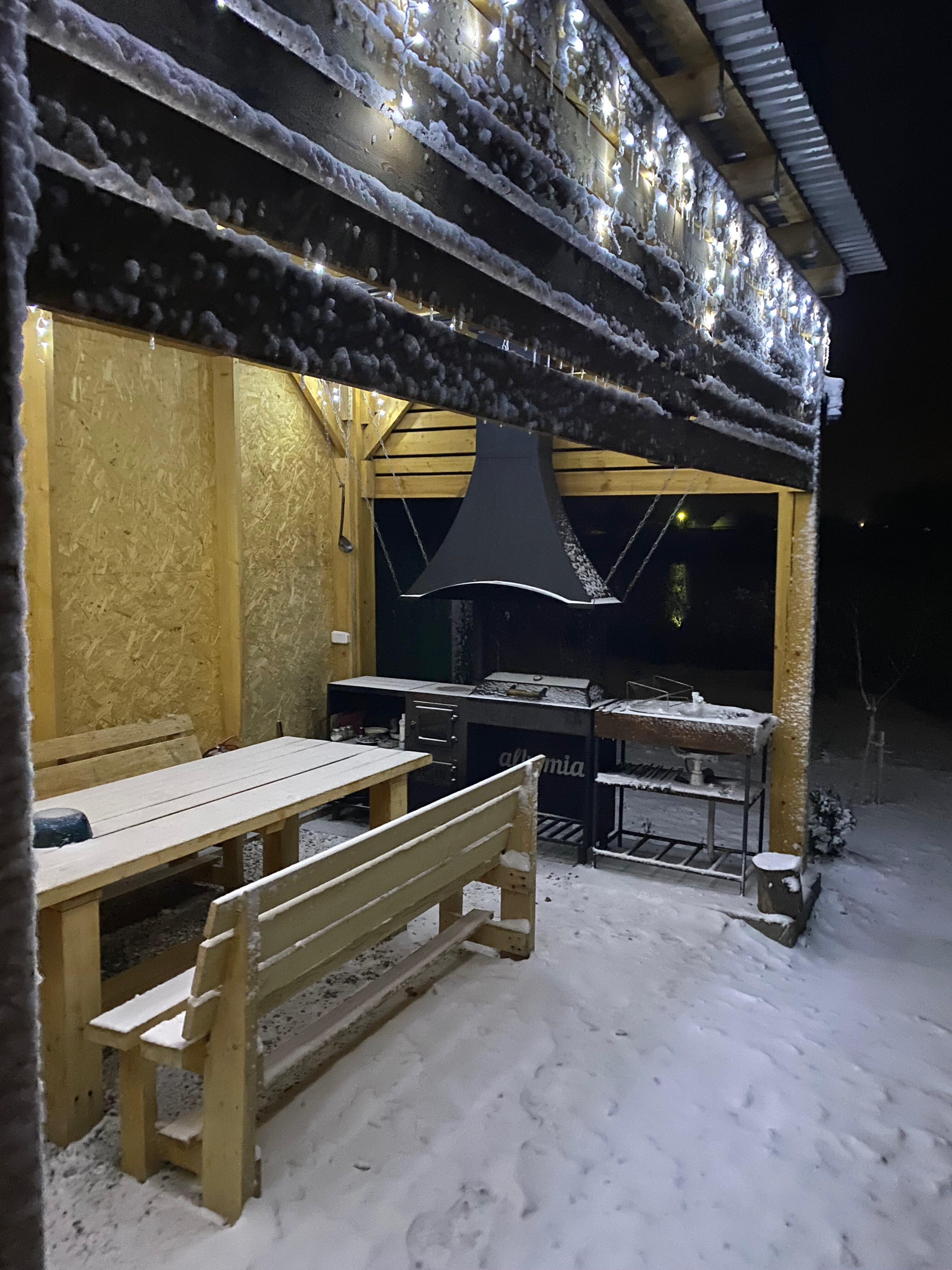 Фото Река лес