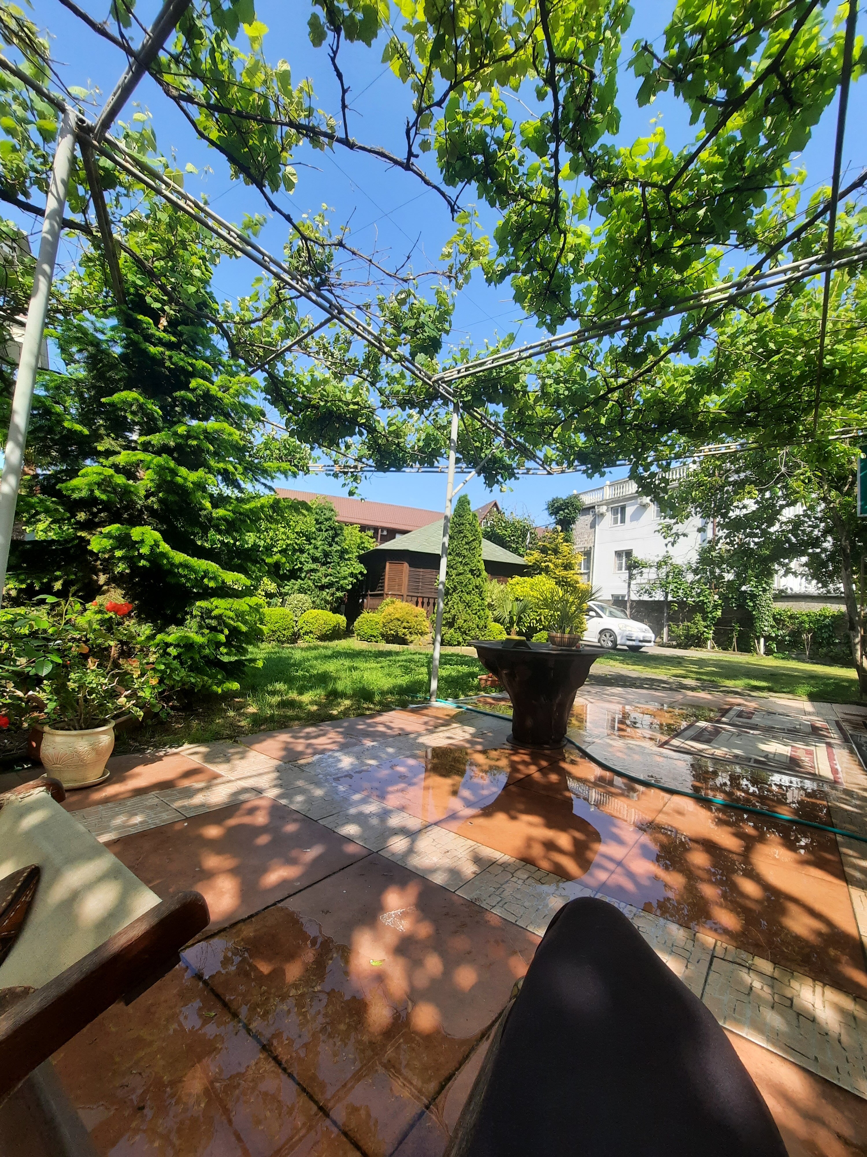 Фото Солоники