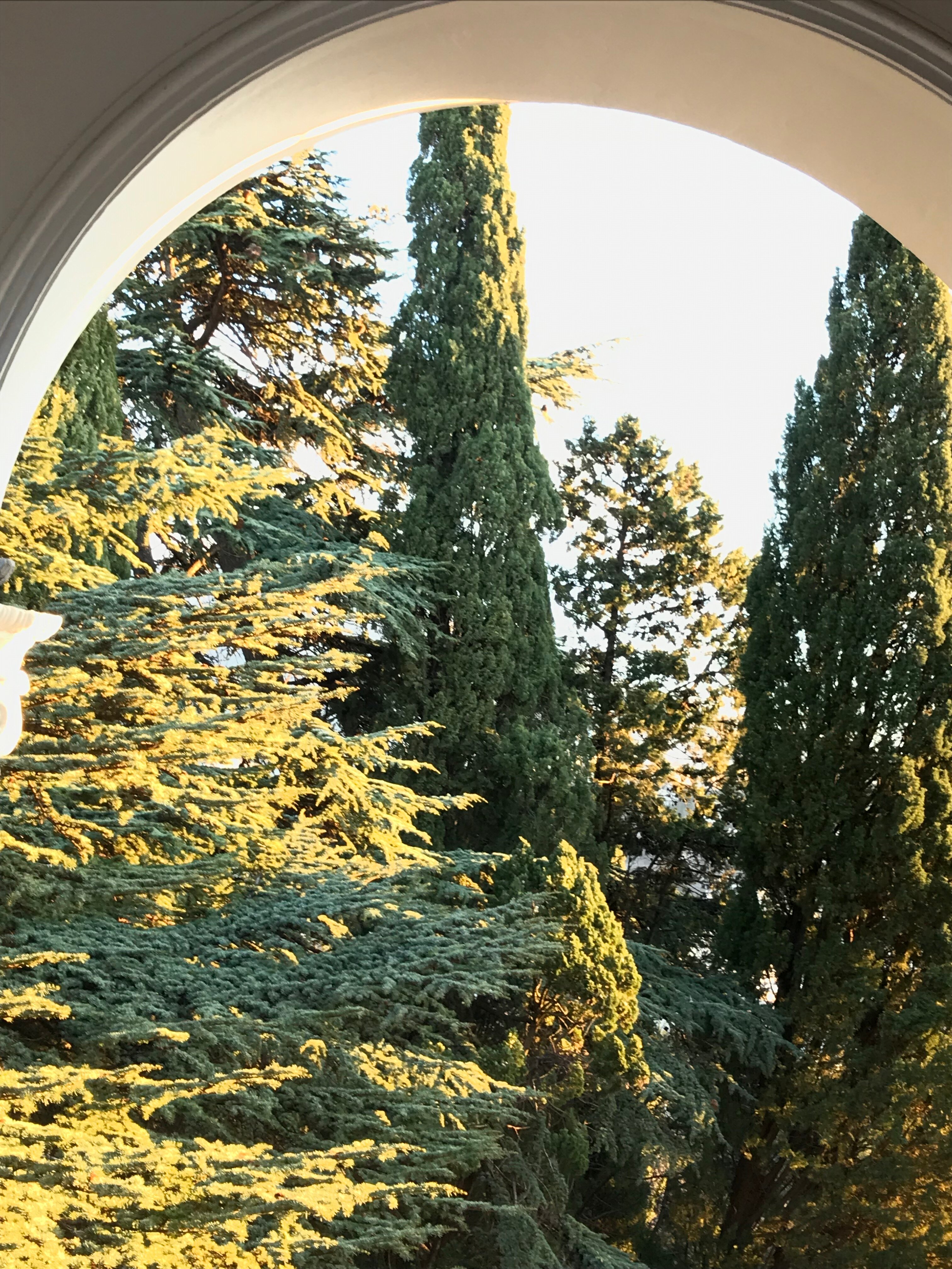 Фото Крым-Дрим