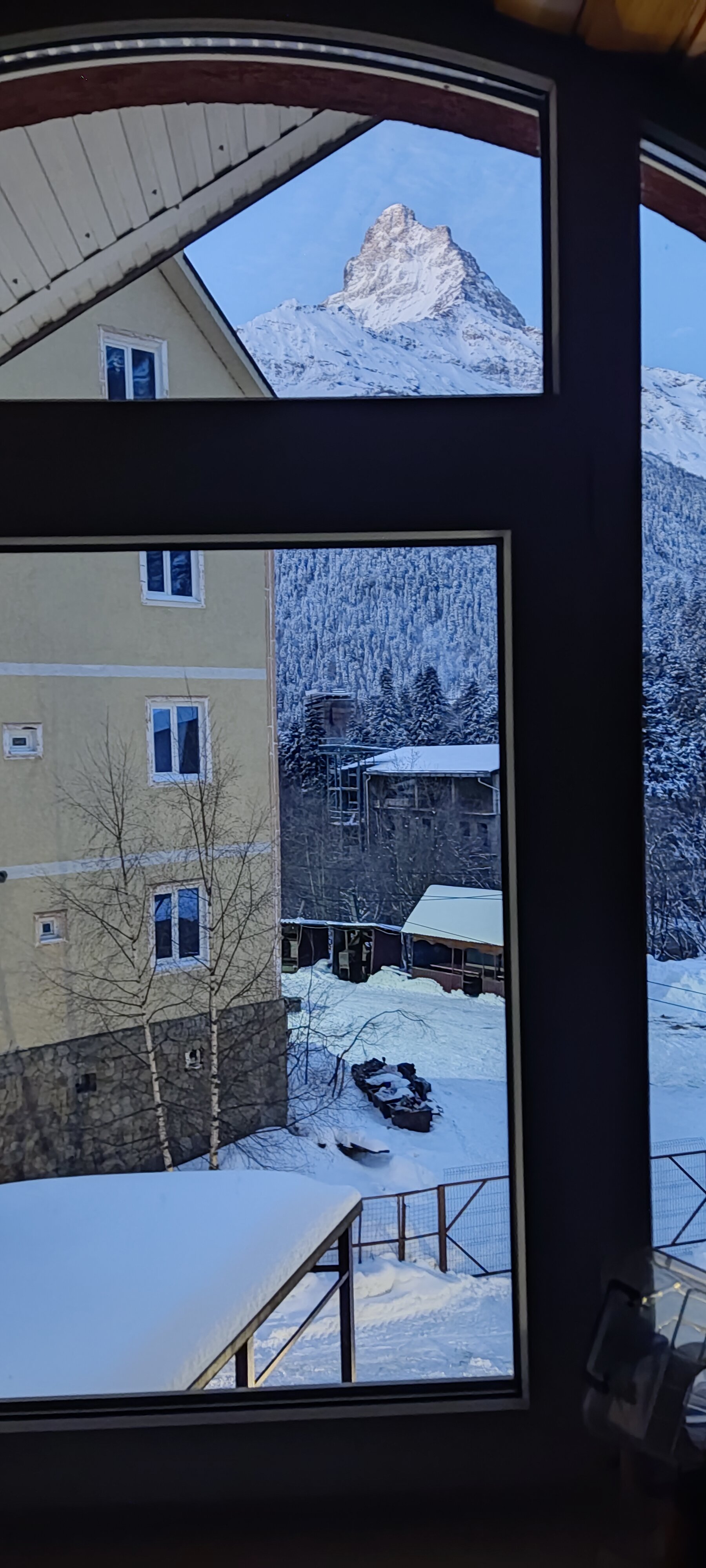 Фото Старый Клён