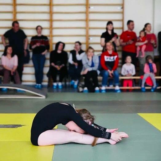 Sports school Sport Gymnastics School of Andrey Perevoznikov, Moscow, photo