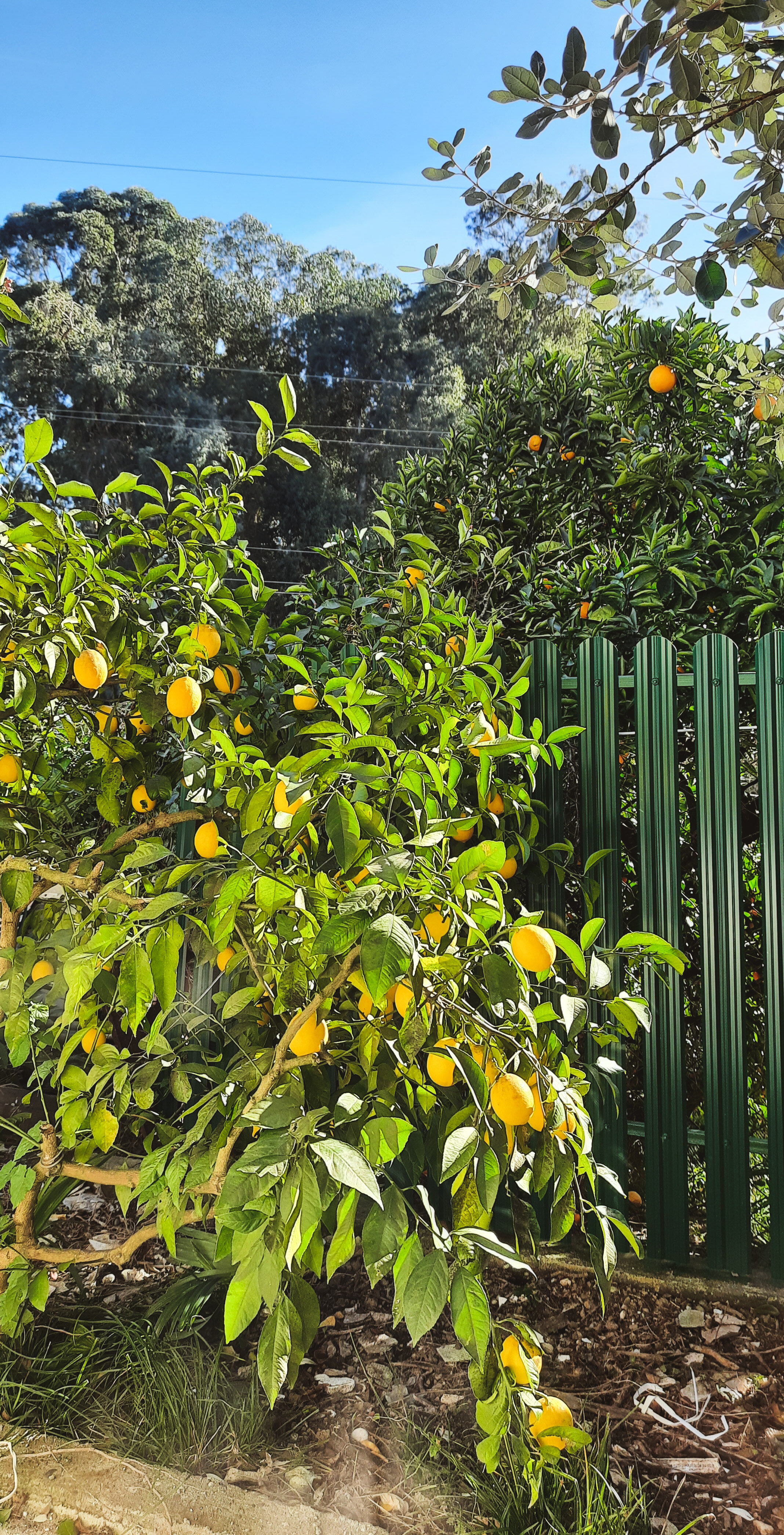 Фото Домик у моря