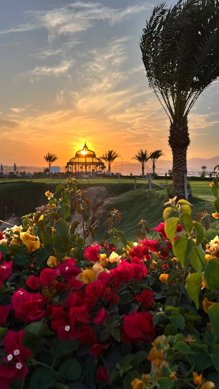 Фото Movenpick Resort Sharm El Sheik 