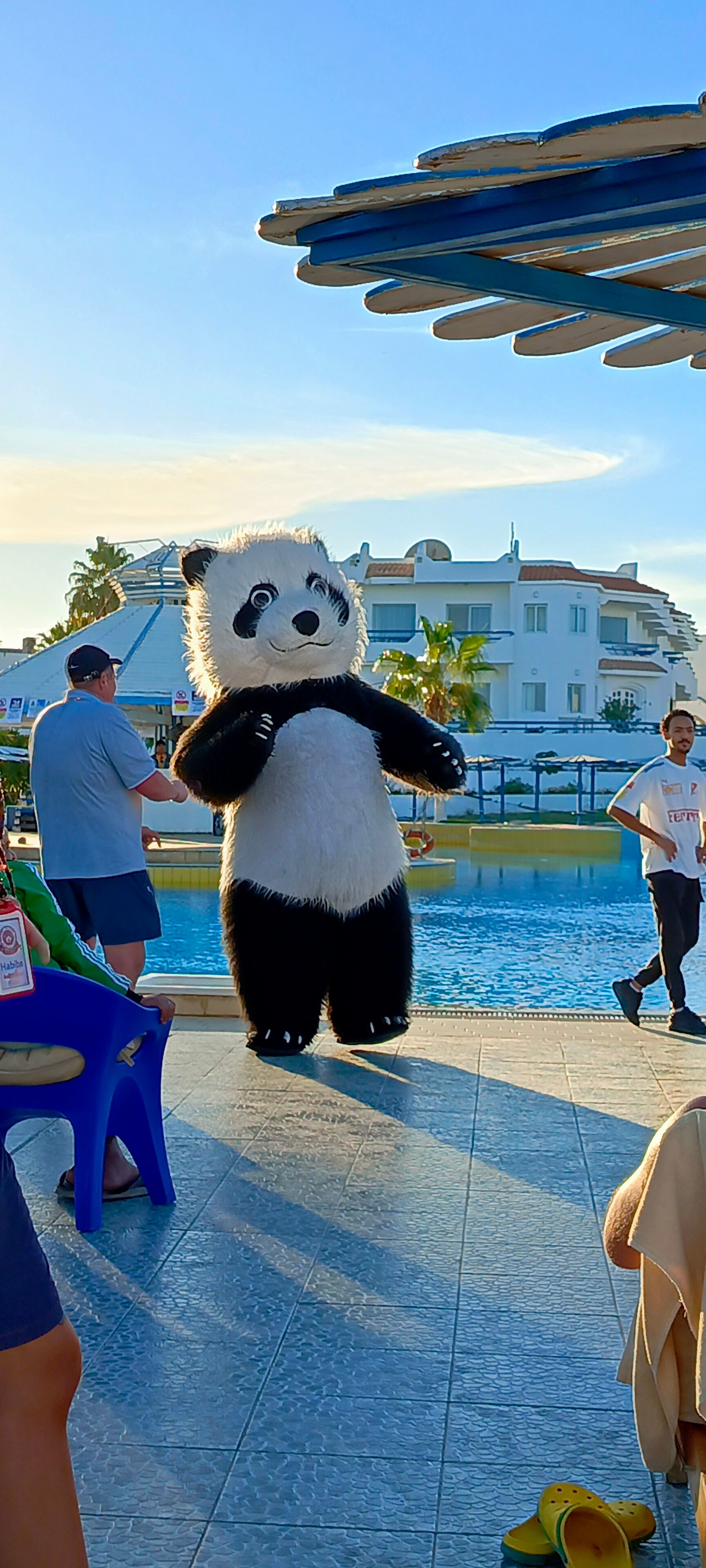 Фото Dreams Beach Resort Sharm El Sheikh