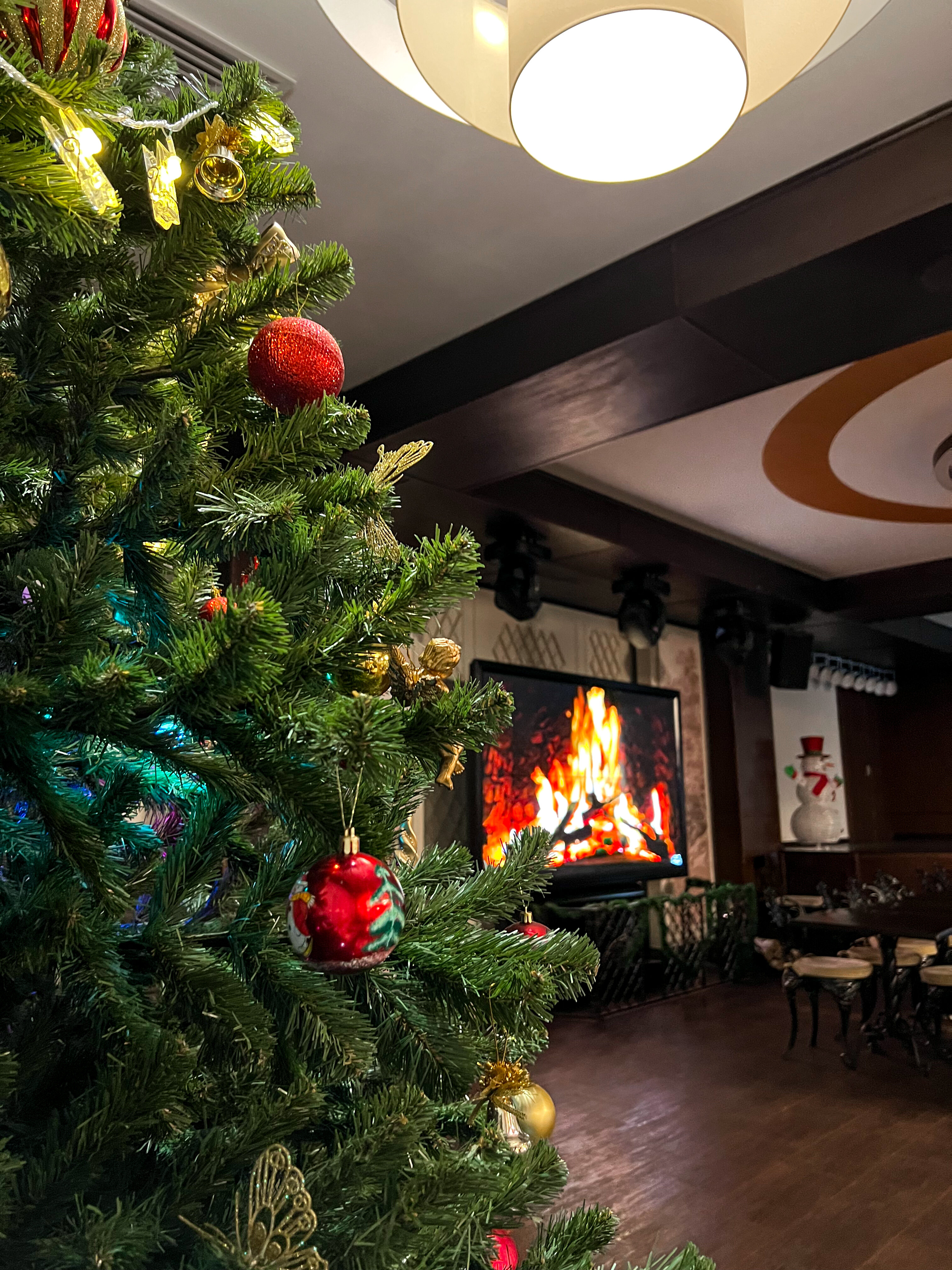 Фото Васильевский