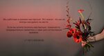 Omnia (Liteyniy Avenue, 29), floristeria