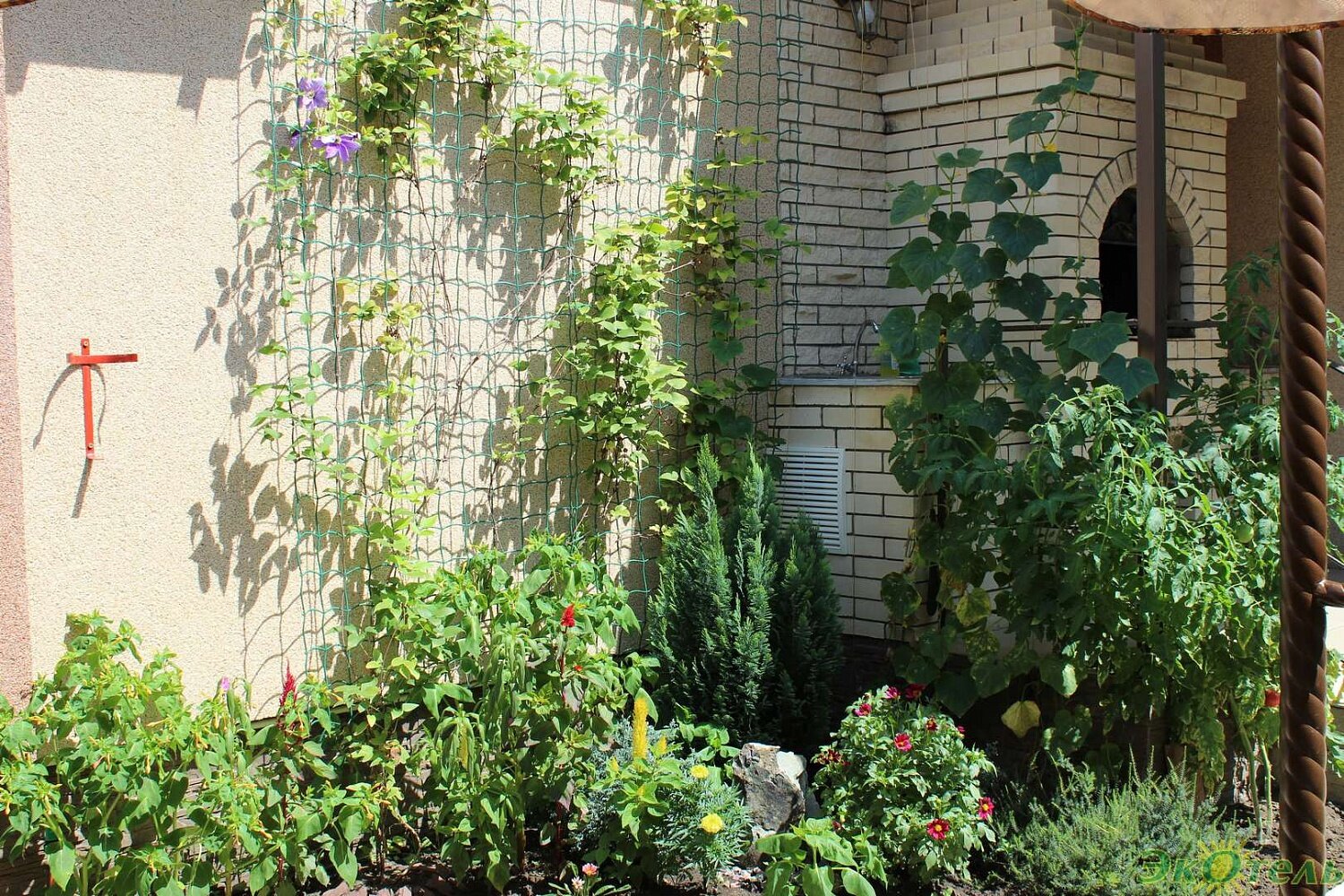 Фото Экотель