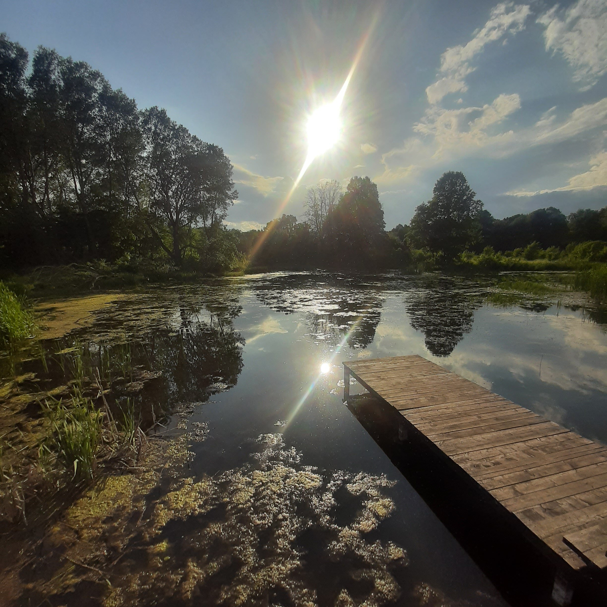 Фото Надежда