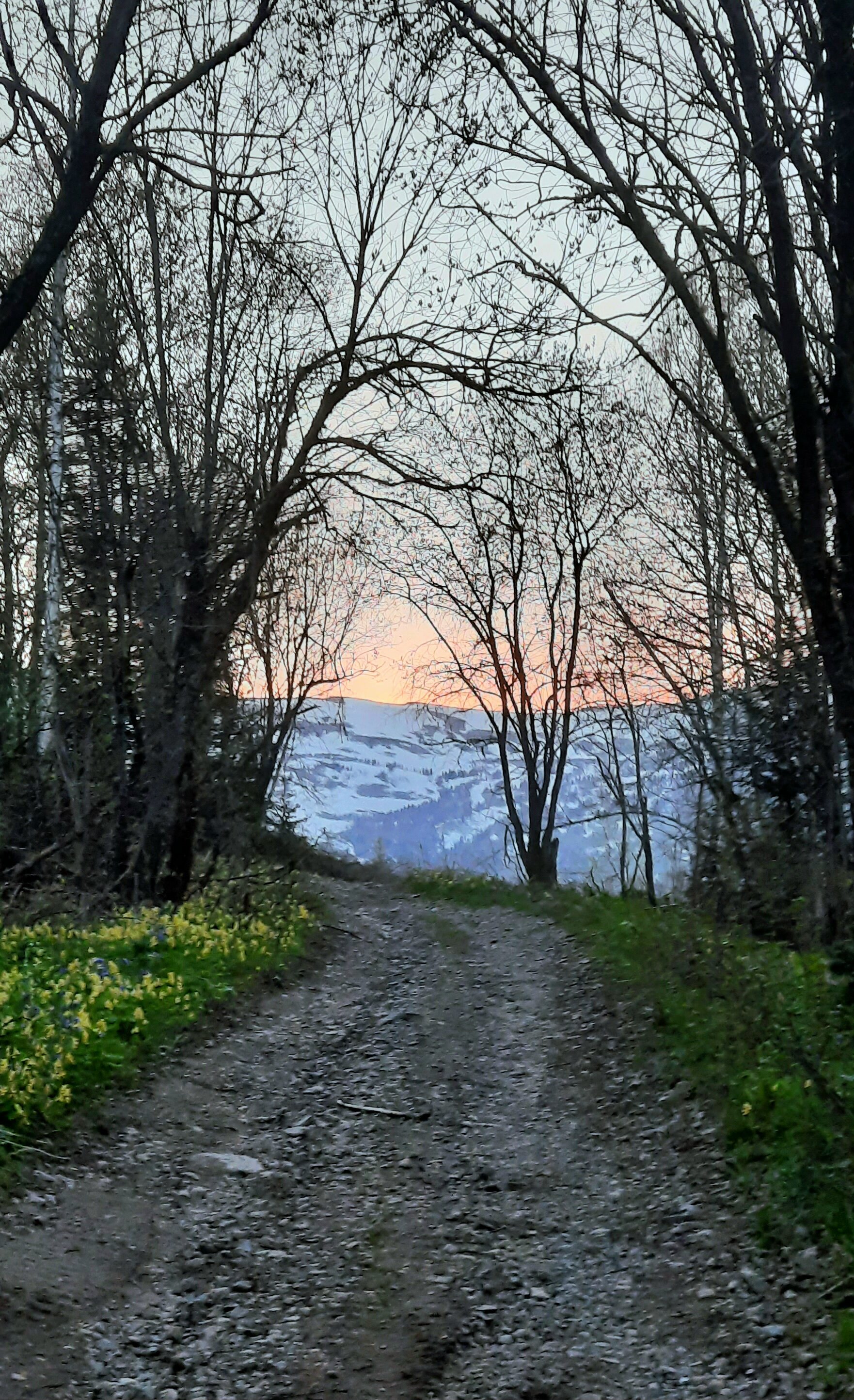 Фото Сибирия