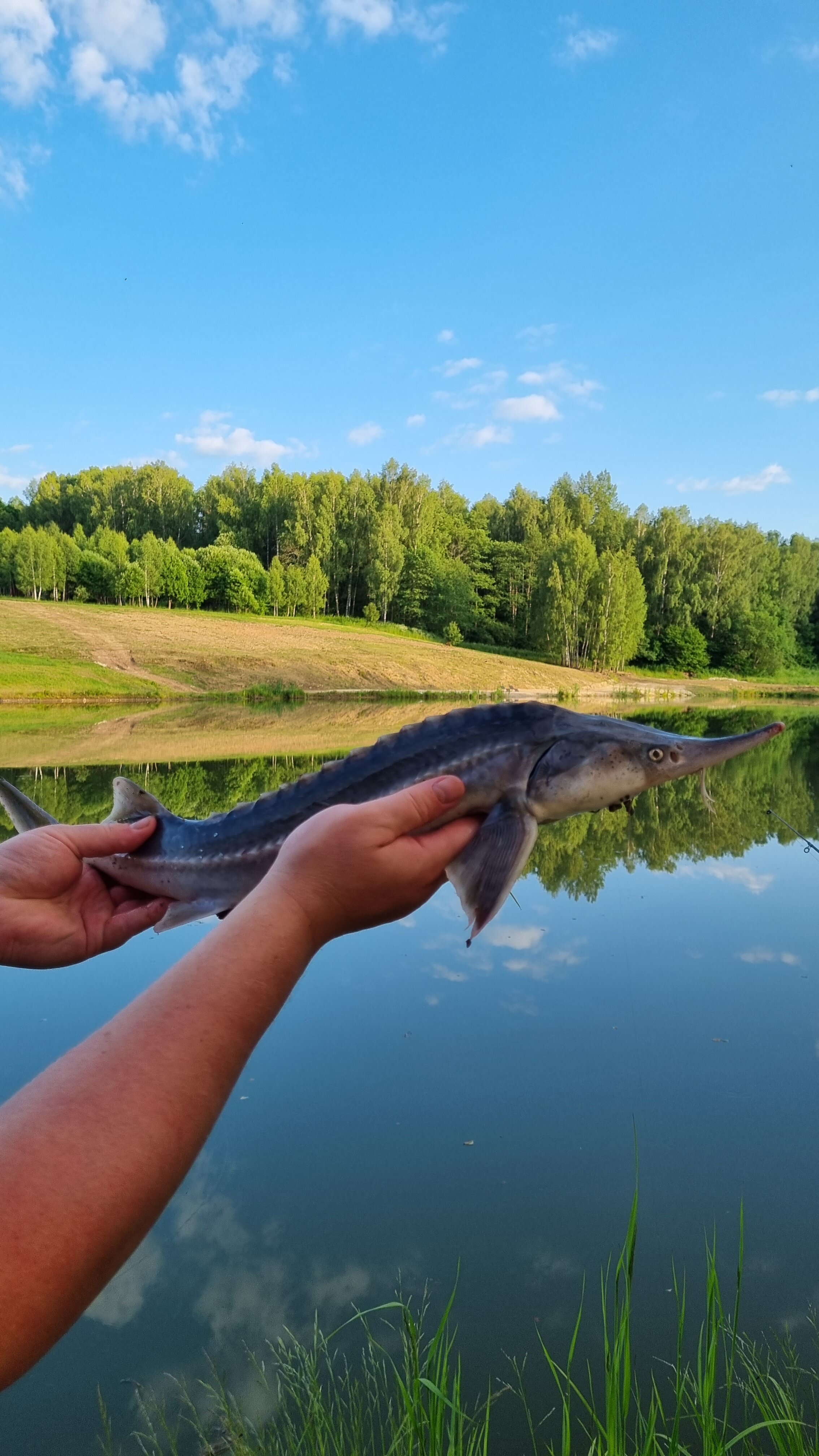 Фото Малина