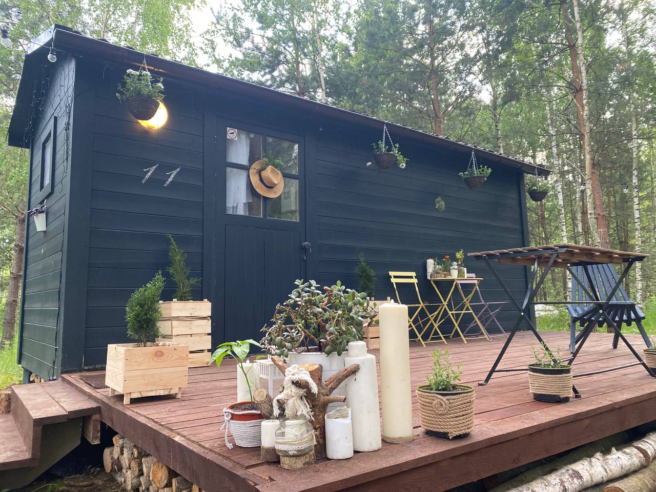 Фото TinyDacha можжевельник