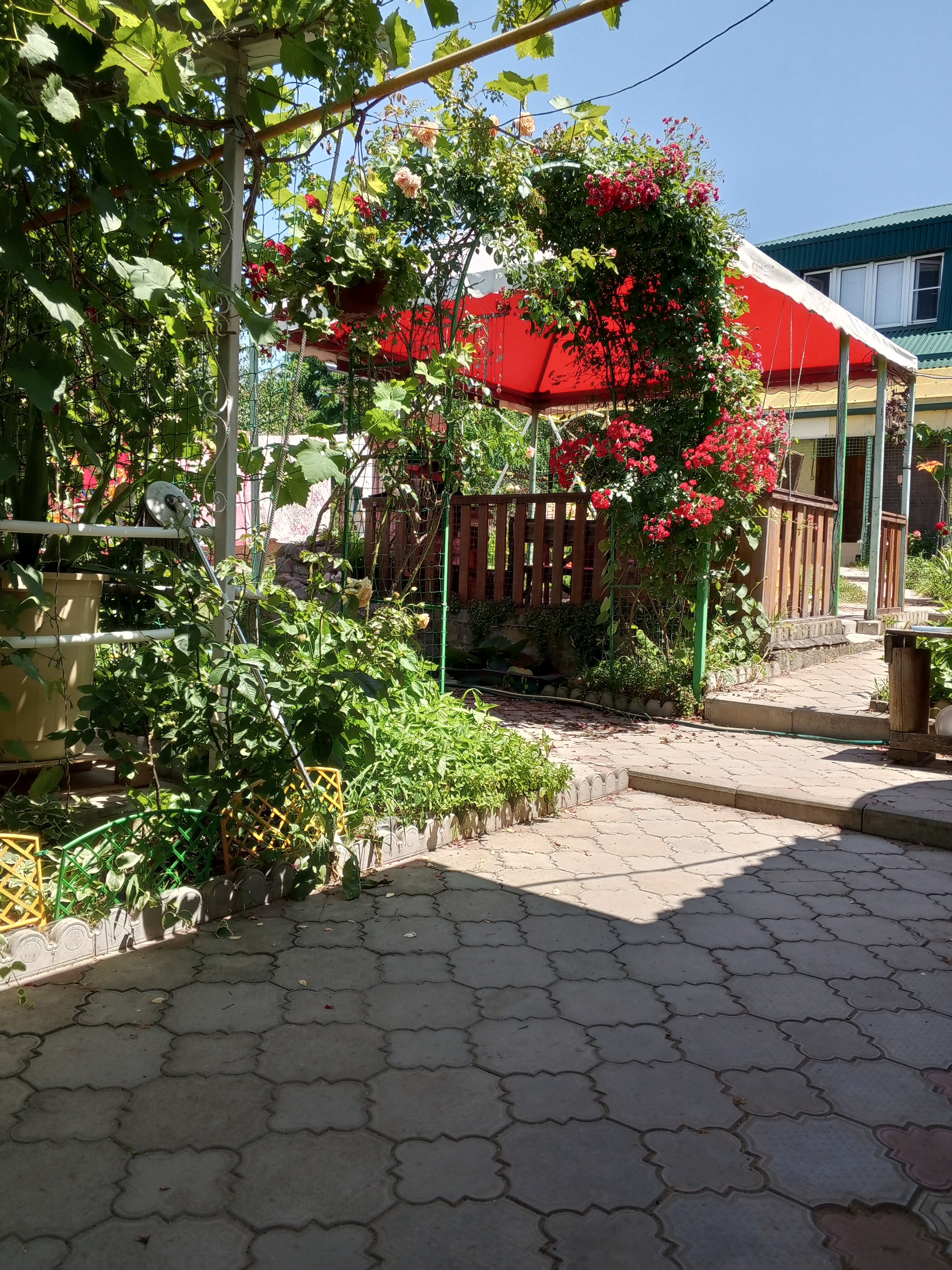 Фото НасТРОЕние