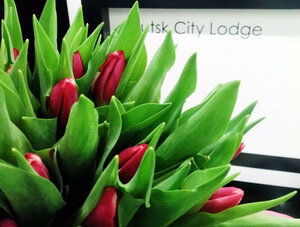 Гостиница Иркутск Сити Лодж