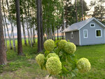 Ежевика. Дома в аренду (posyolok Petrovskoye, Brusnichnaya ulitsa, 1), short-term housing rental