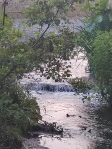 Водосток старой дамбы (Gvozdyanka River), landmark, attraction