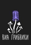 VIA Gribniki (Komsomolsky Avenue, 83) ، مجموعة فنية