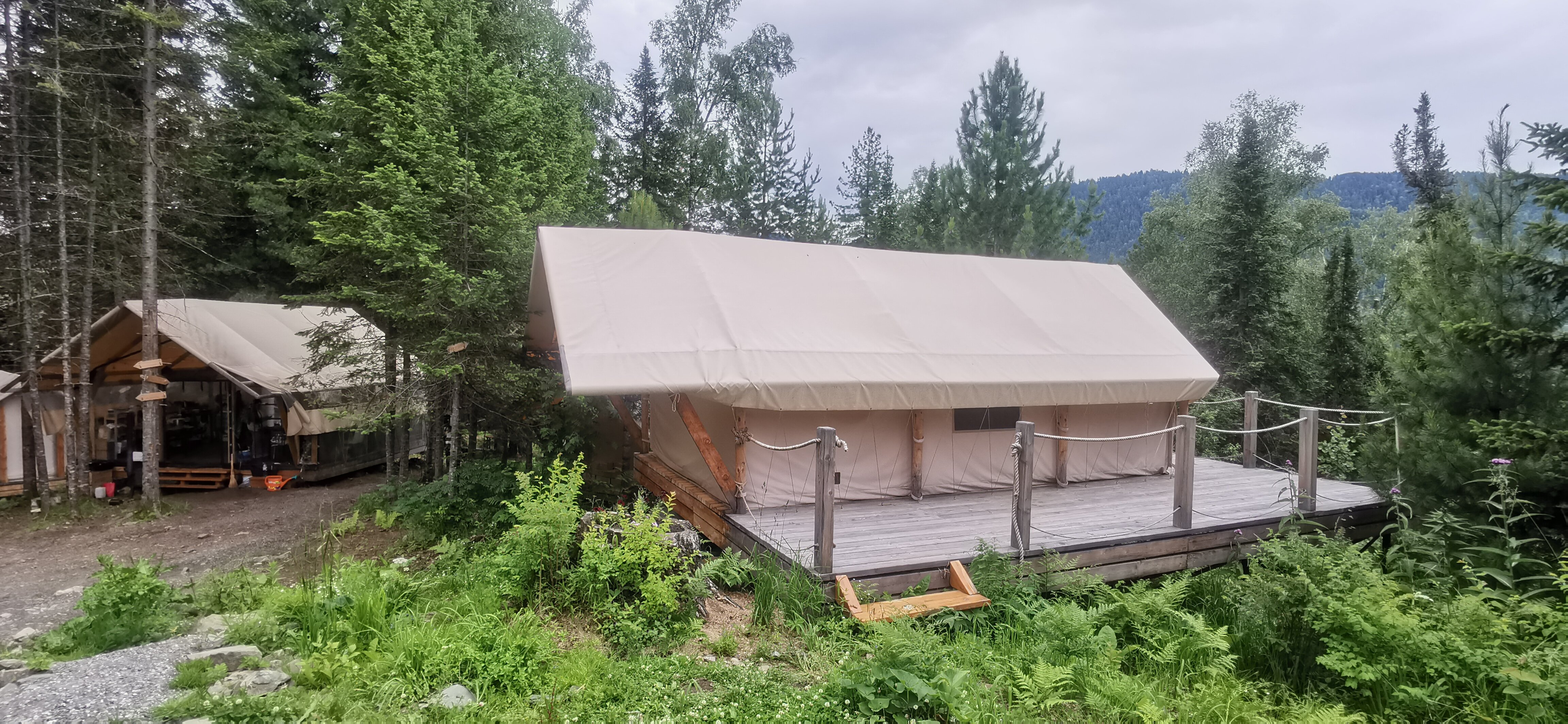 Фото Кедровая берлога