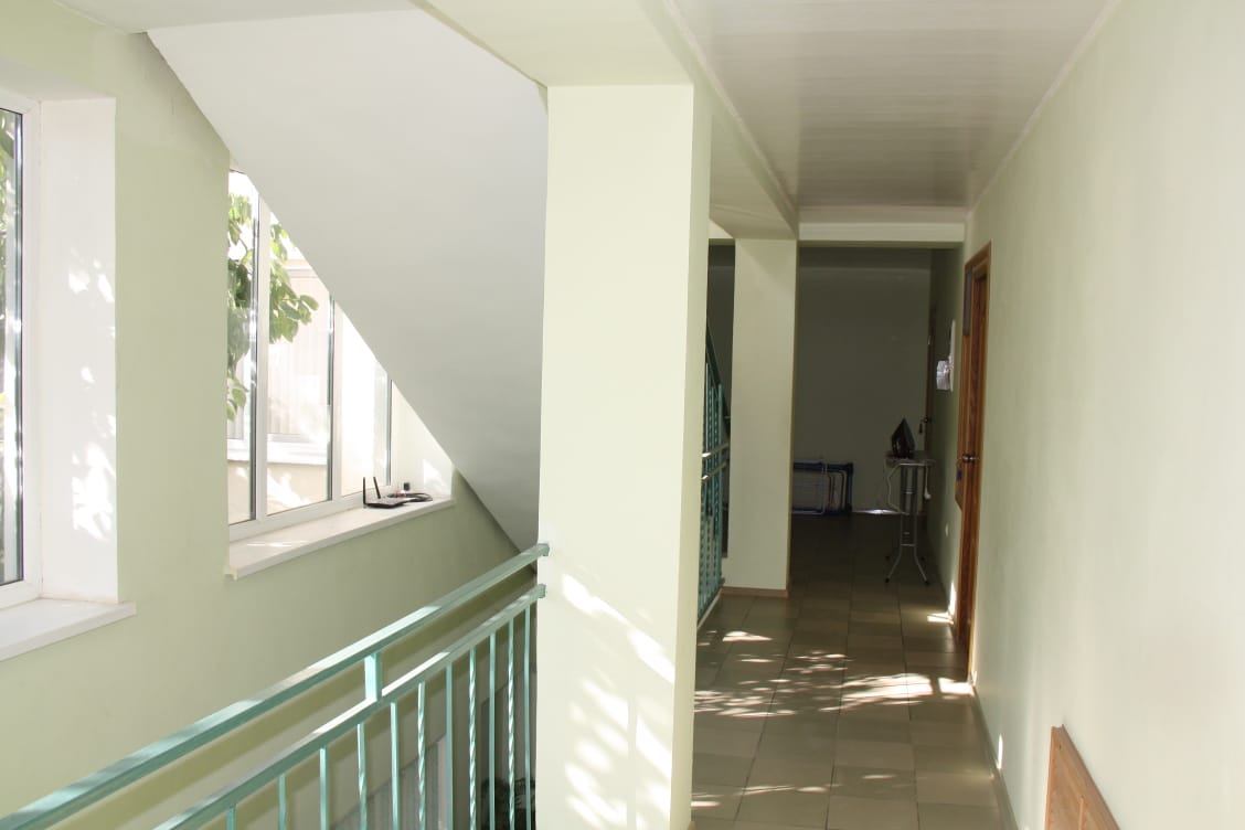 Фото Ромашка