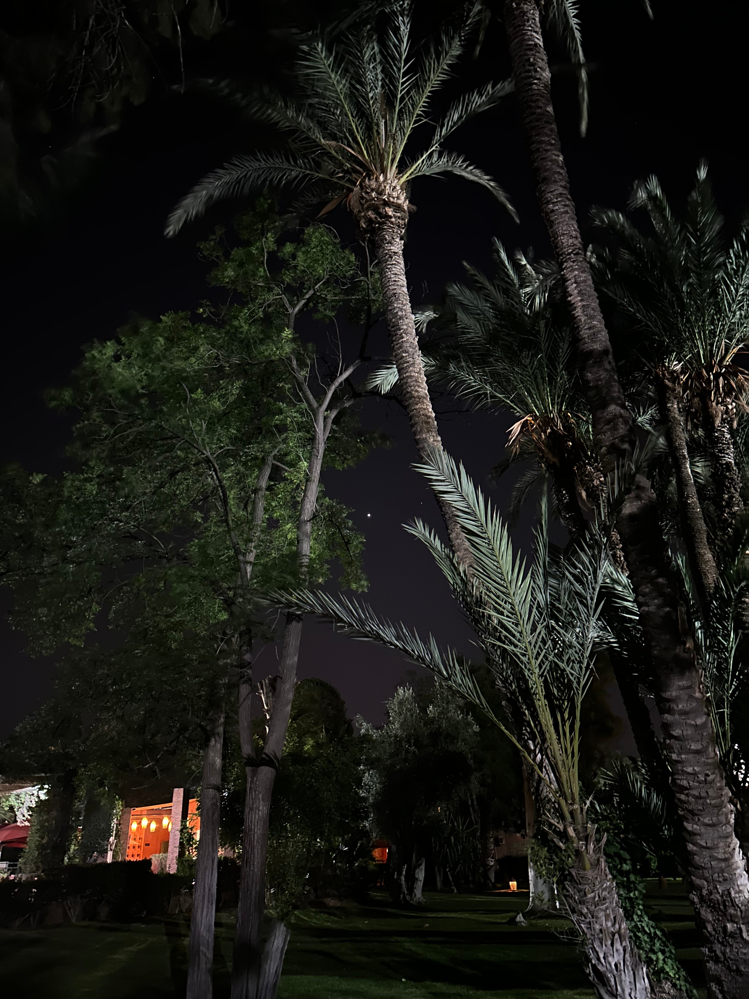 Фото Hotel Farah Marrakech