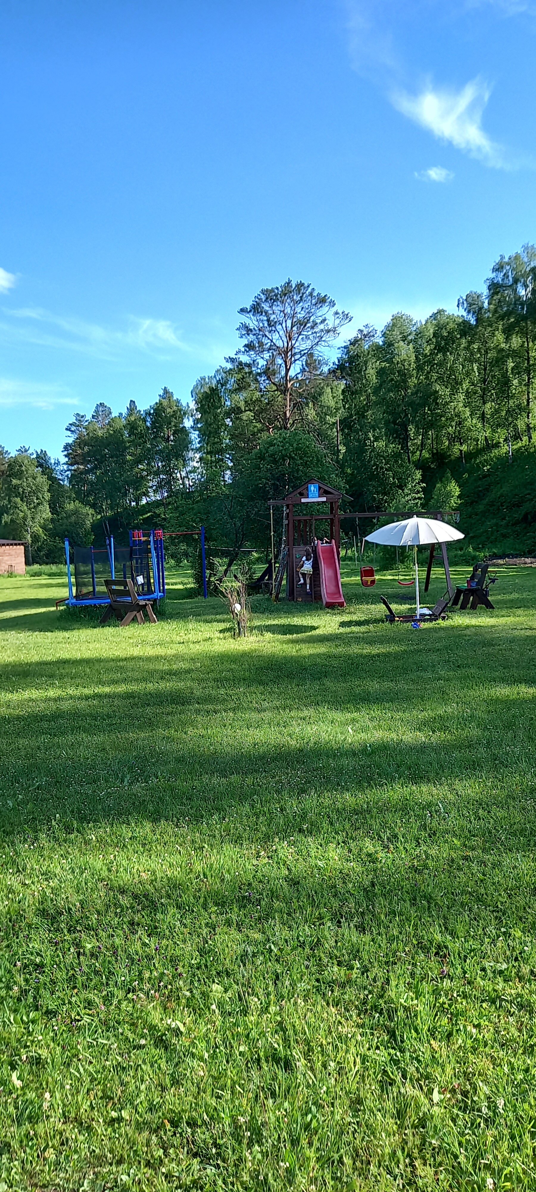 Фото Большие Коты