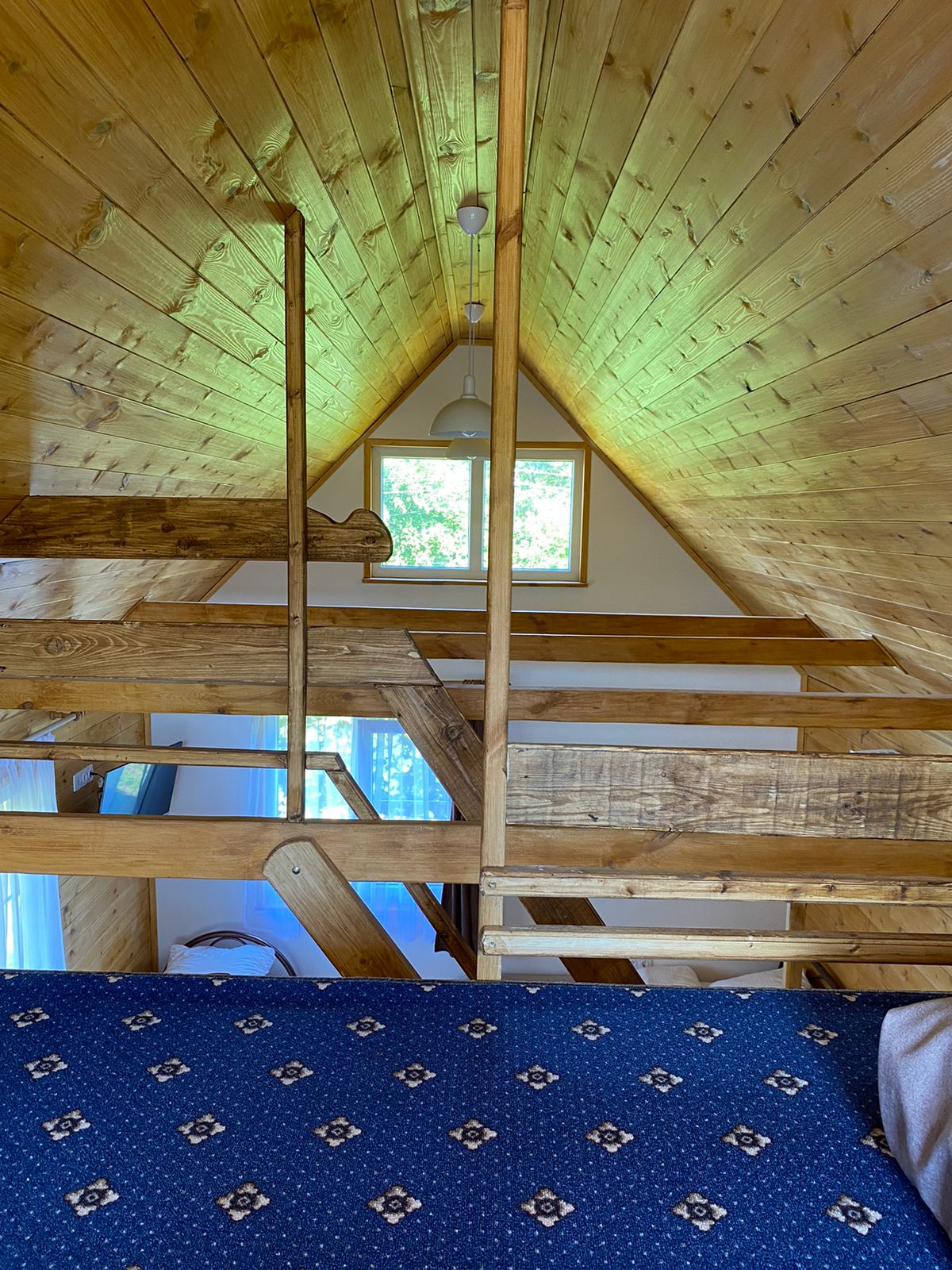 Фото Дом на поляне