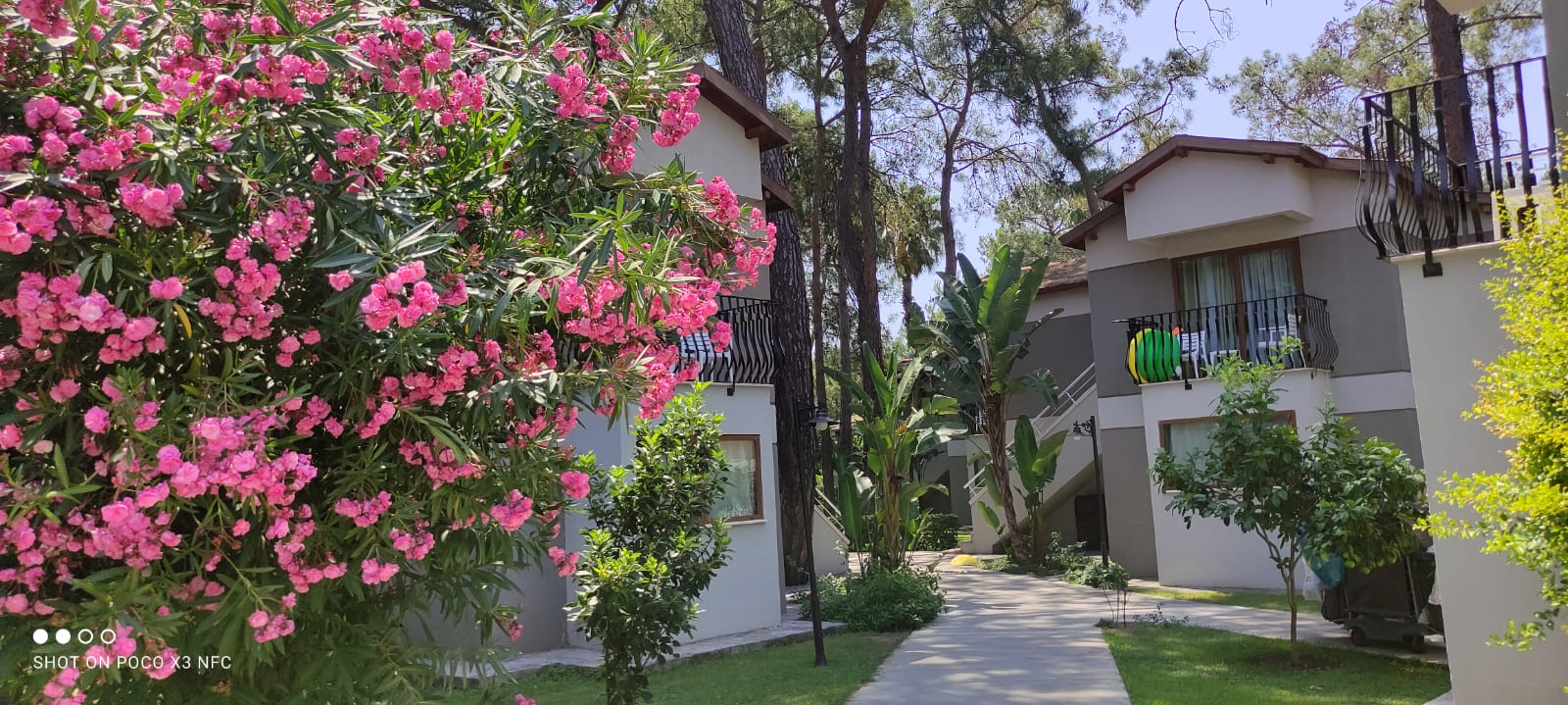 Фото Kimeros Park Holiday Village